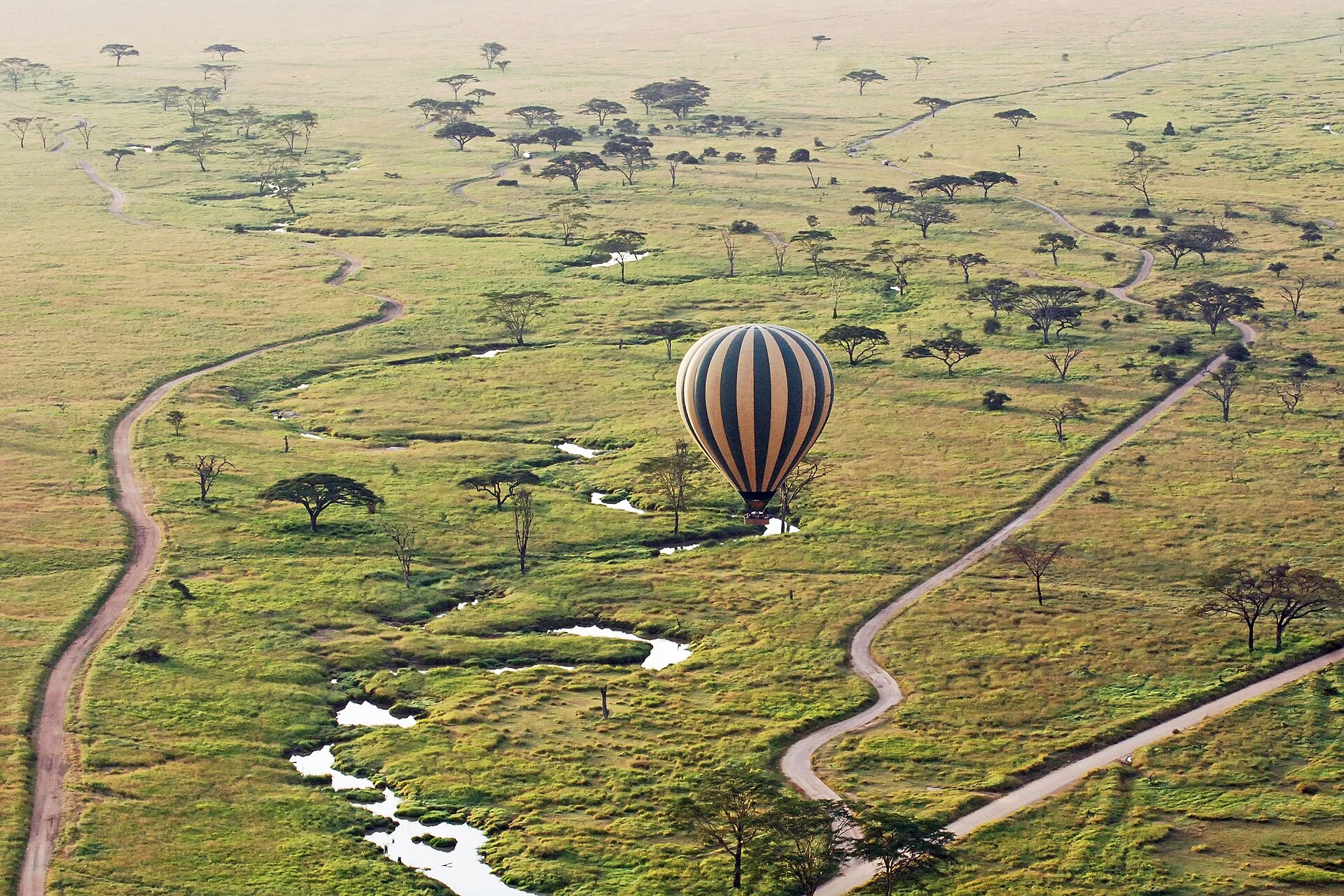 A hot-air balloon above a winding river and plains in the Serengeti