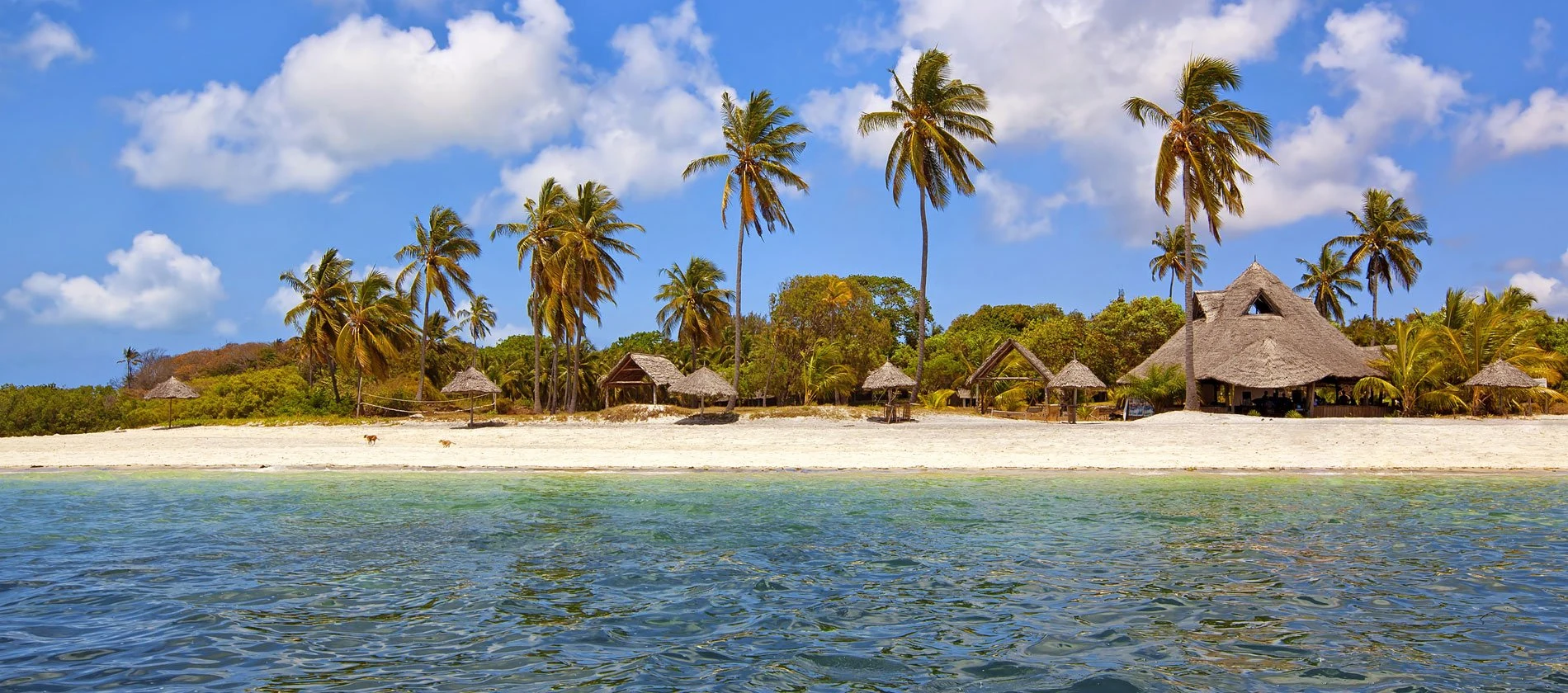 Palms and thatched cottages behind a quiet beach