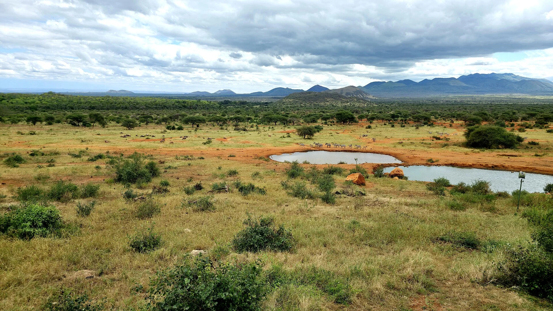 Plains and hills in Tsavo West National Park