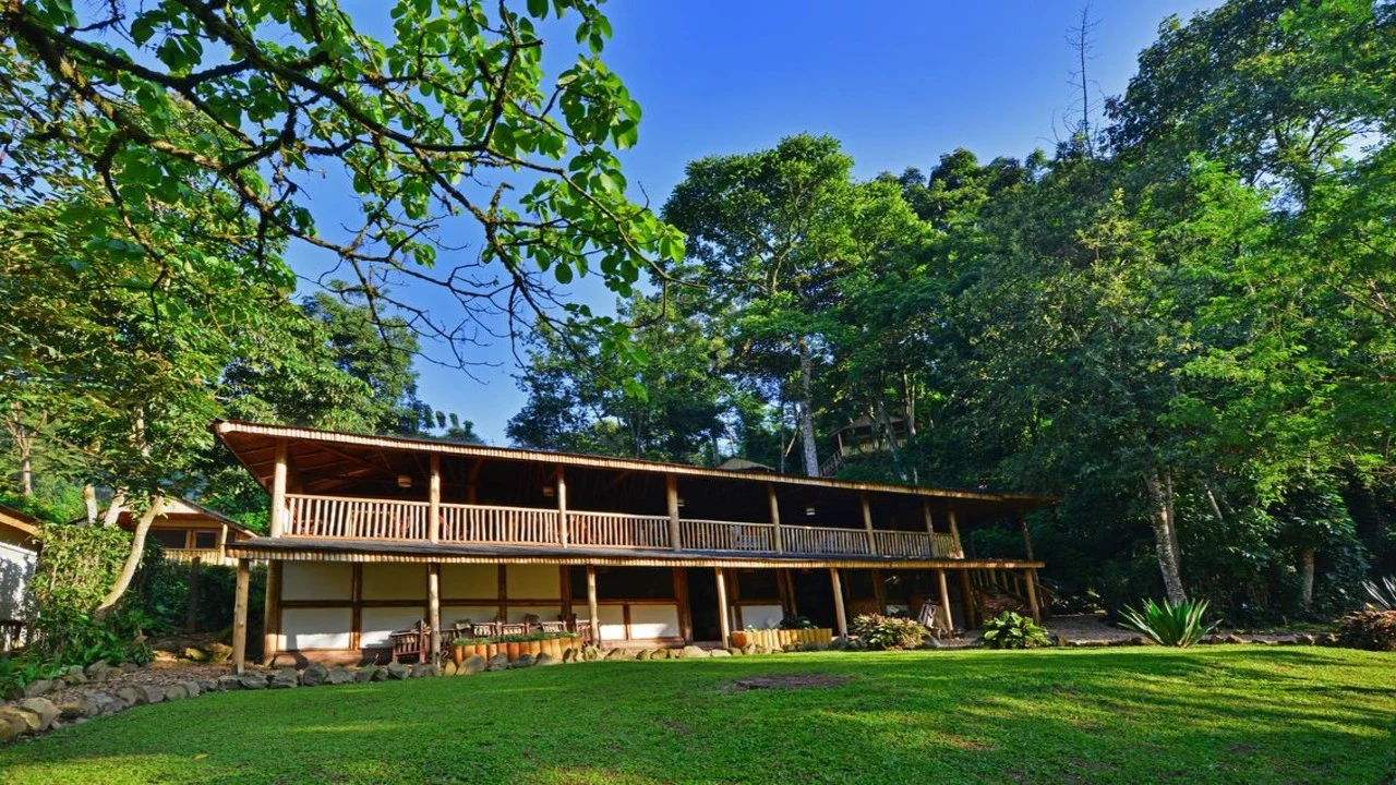 Long timber lodge beside forest at Buhoma Lodge
