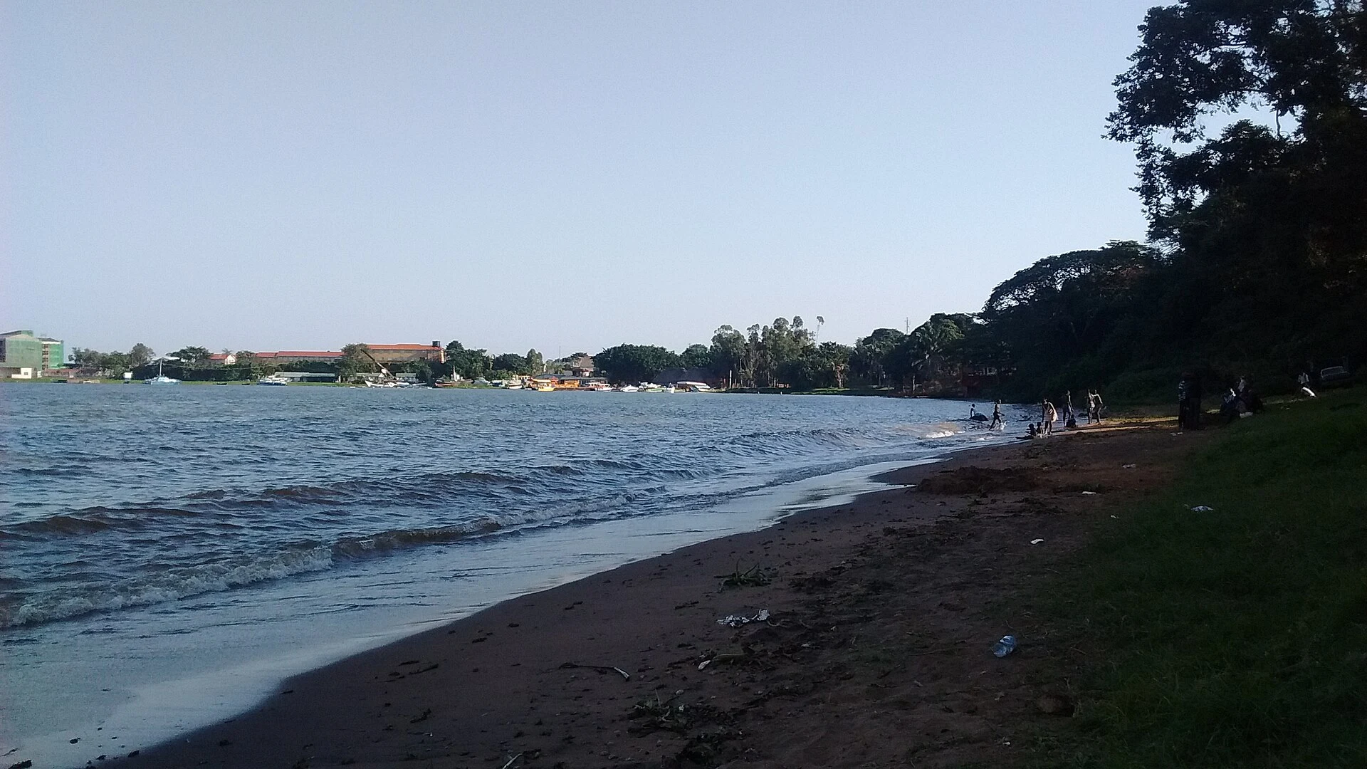 The Lake Victoria shoreline inside the Botanical Gardens in Entebbe