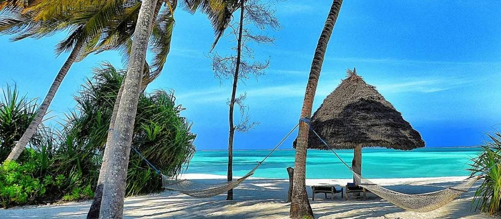 A hammock and thatched shade on a palm-fringed white beach