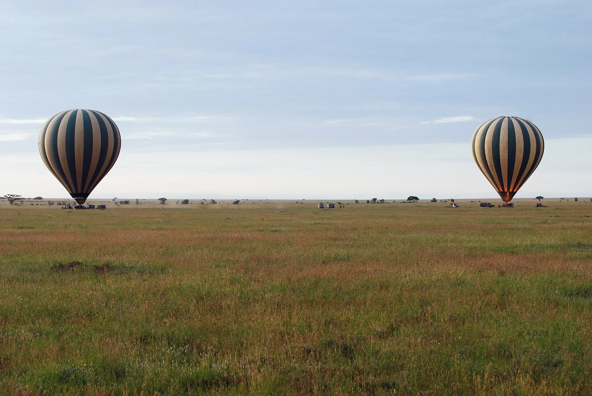 Two hot-air balloons drifting low over the Serengeti grasslands