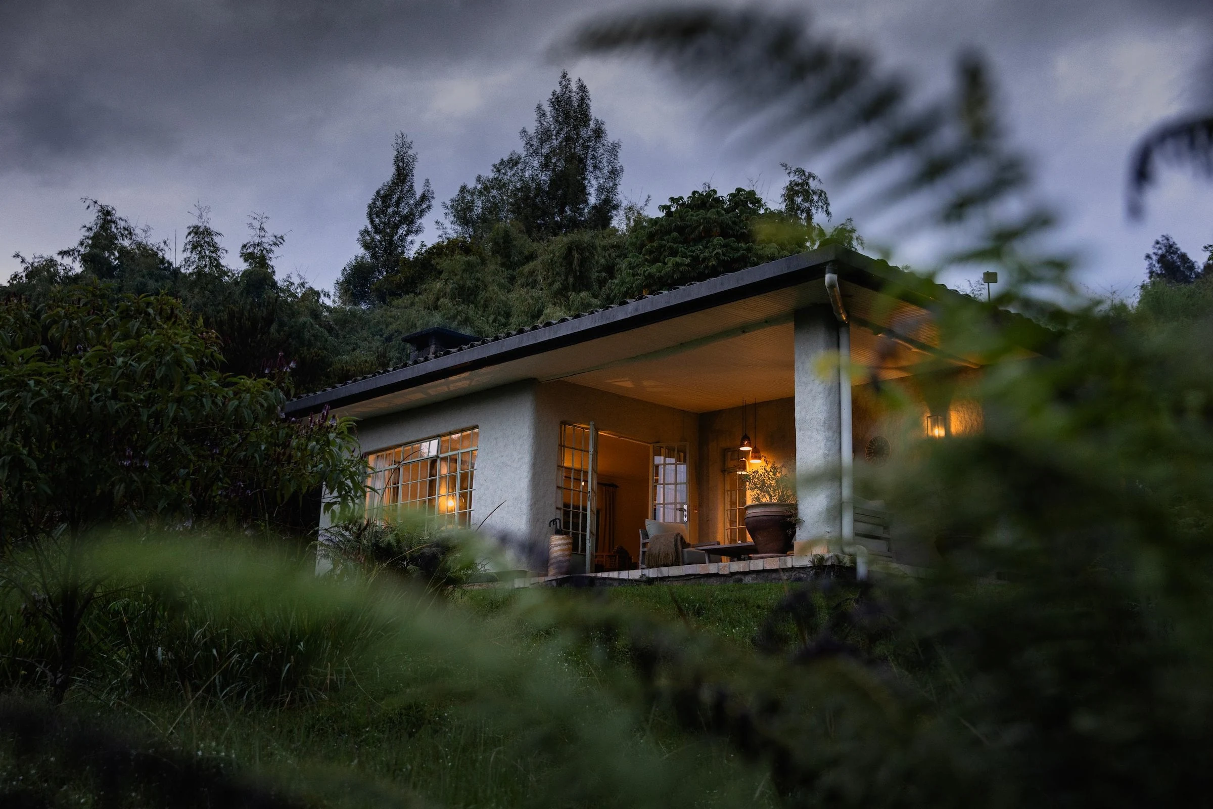 Illuminated cottage beside green bushes