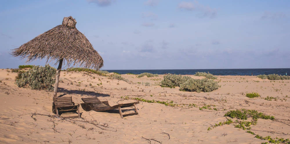A thatched sunshade and loungers on a sandy beach