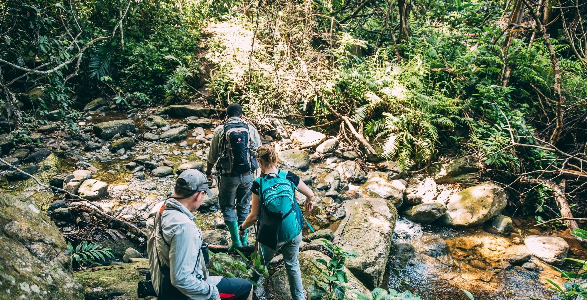 A guide leads trekkers across a rocky forest stream