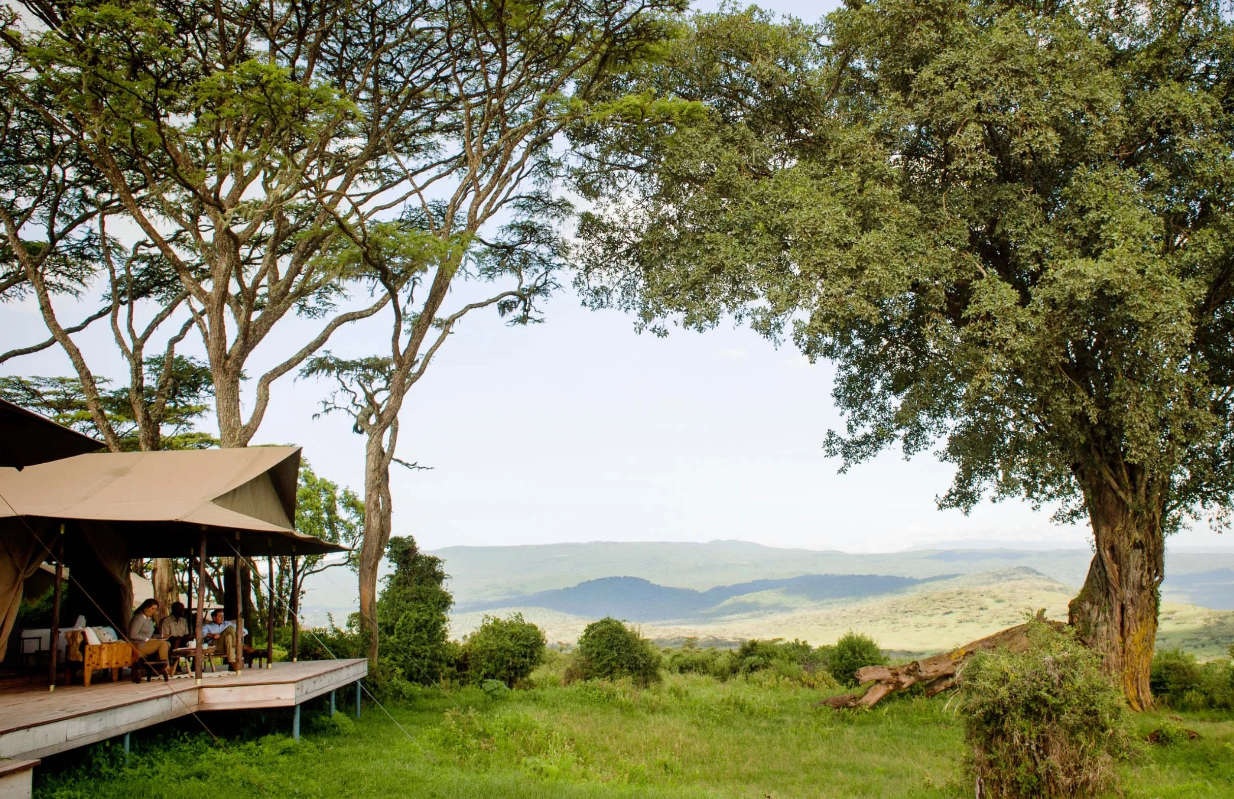 Canvas lodge beneath a broad tree at Entamanu Ngorongoro