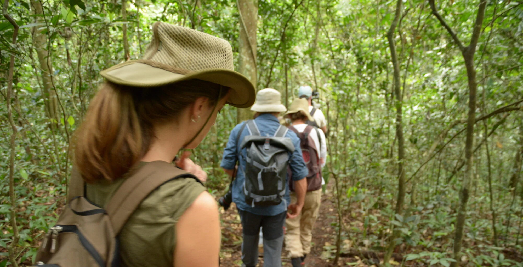 Walkers with backpacks heading along a forest trail near Clouds Mountain Gorilla Lodge