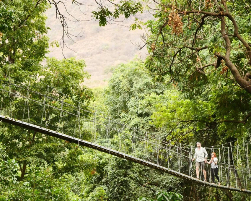 Two people crossing a rope canopy bridge in green forest at Lake Manyara