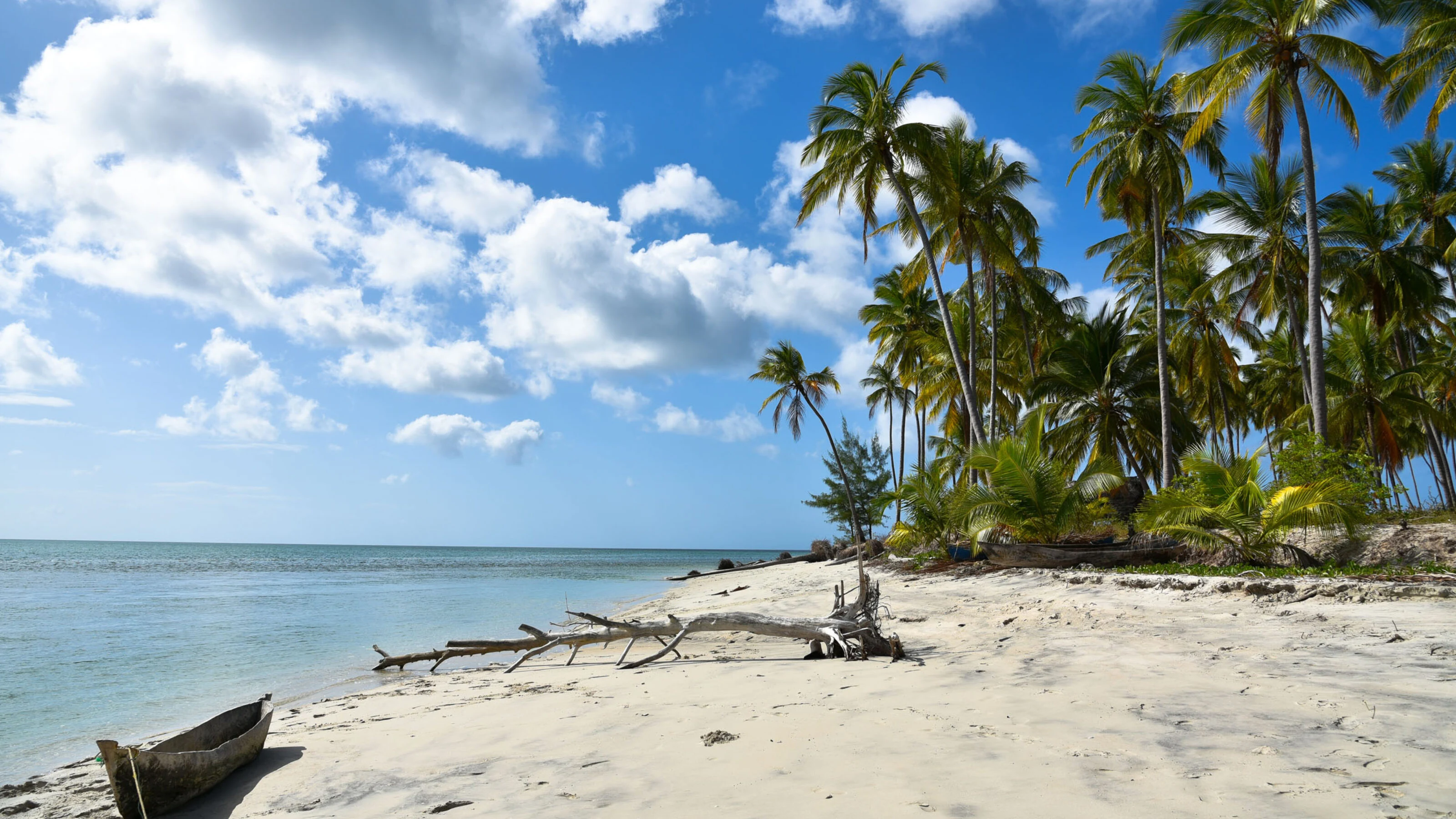 Palms, driftwood and a dugout canoe on a white sand beach