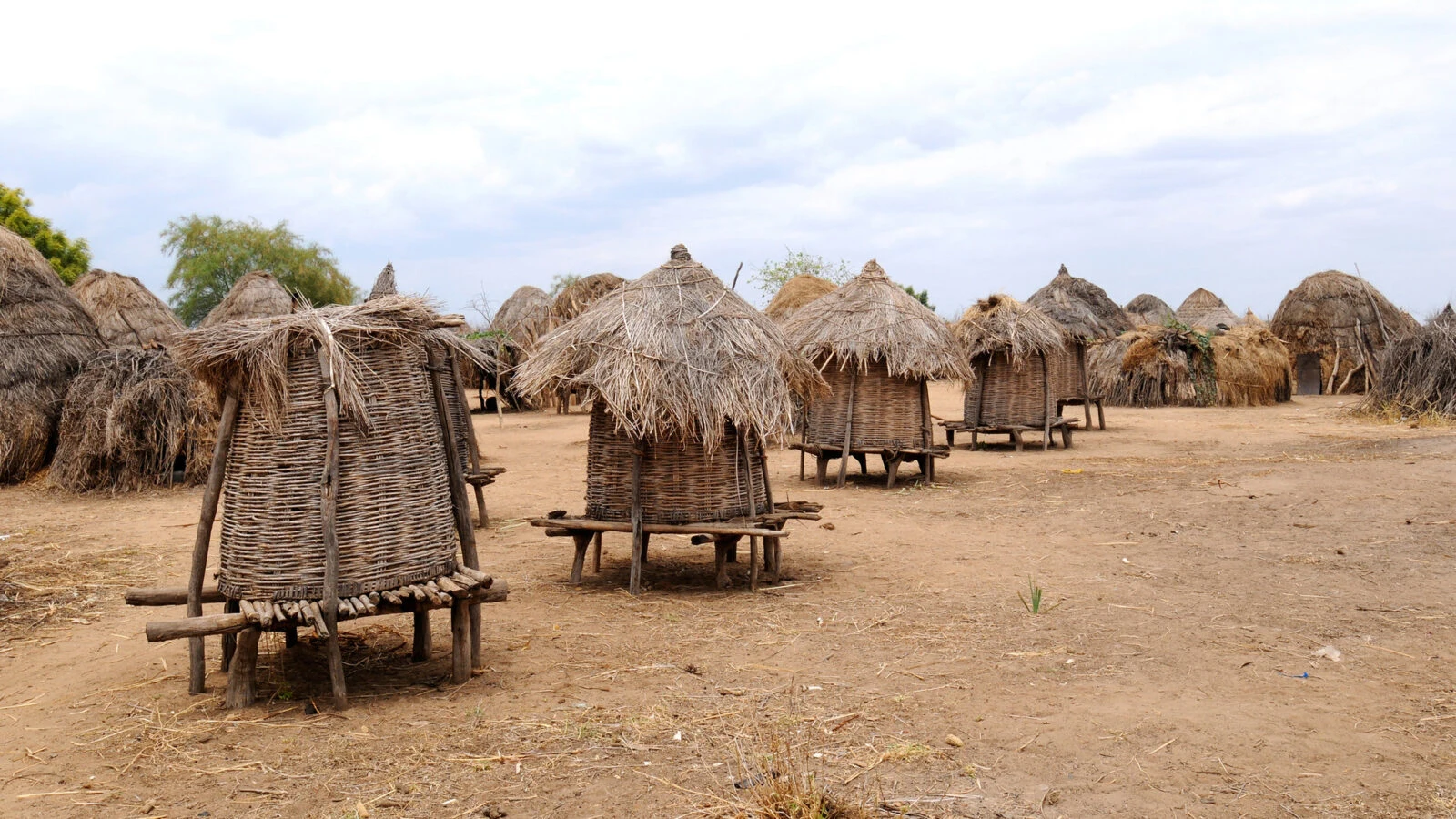 Thatched grain stores and huts in a dusty village