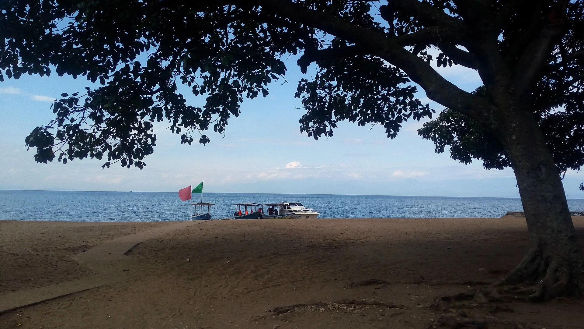Tour boats moored off a sandy Lake Kivu beach framed by a large tree