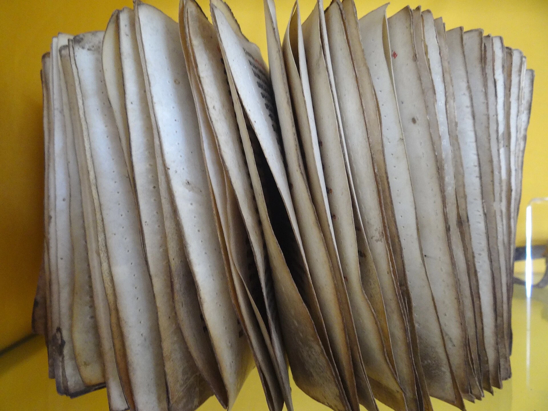 Leaves of an ancient bound book on display at the Axum archaeological museum.