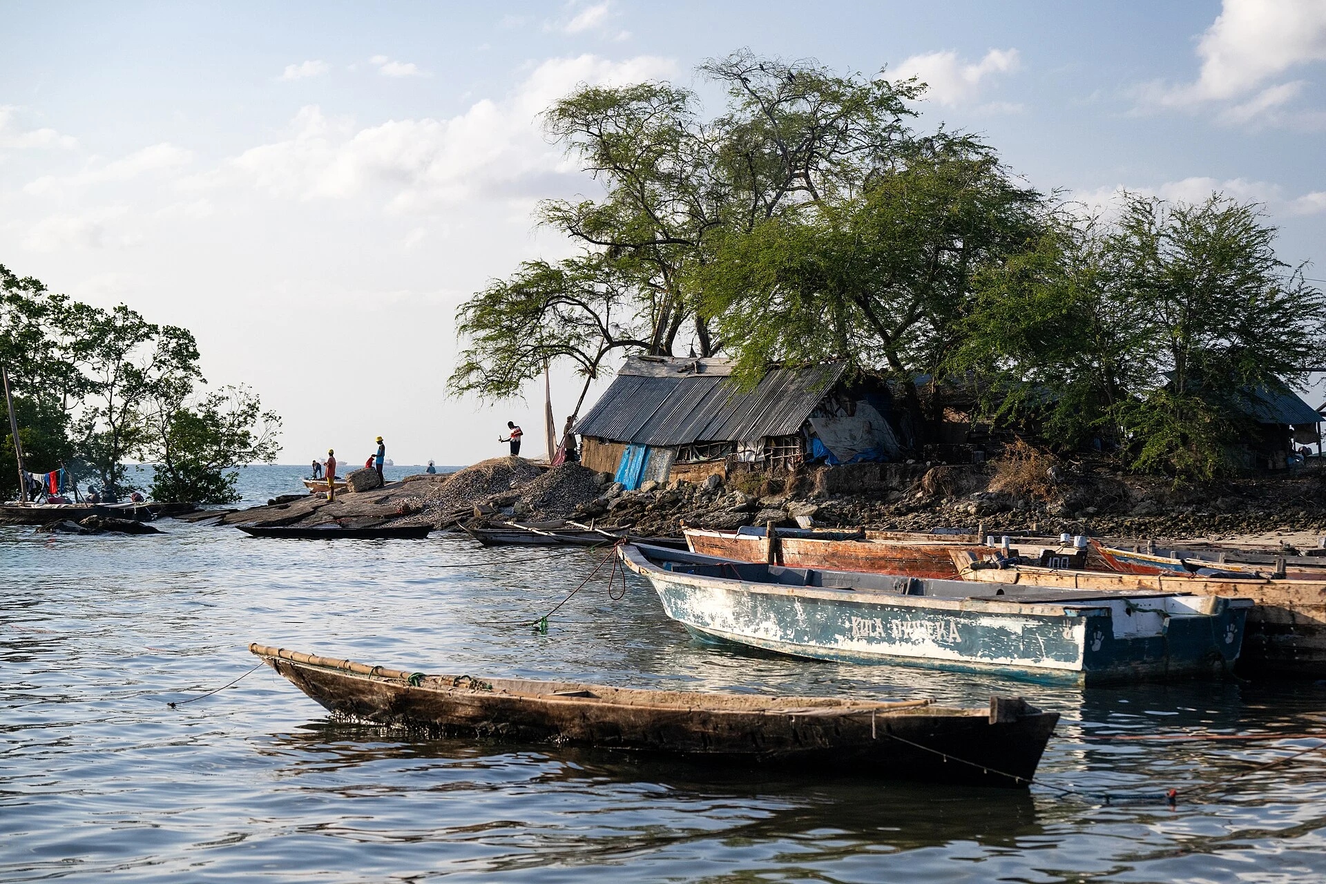Wooden fishing boats moored beside a small wooded islet in a Zanzibar fishing village