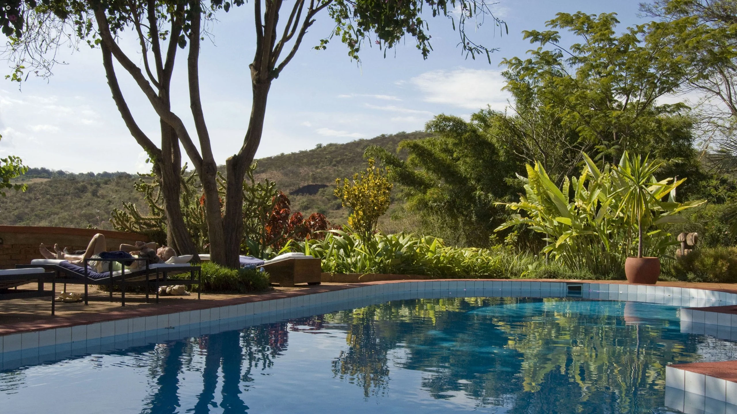 Pool beside garden terrace