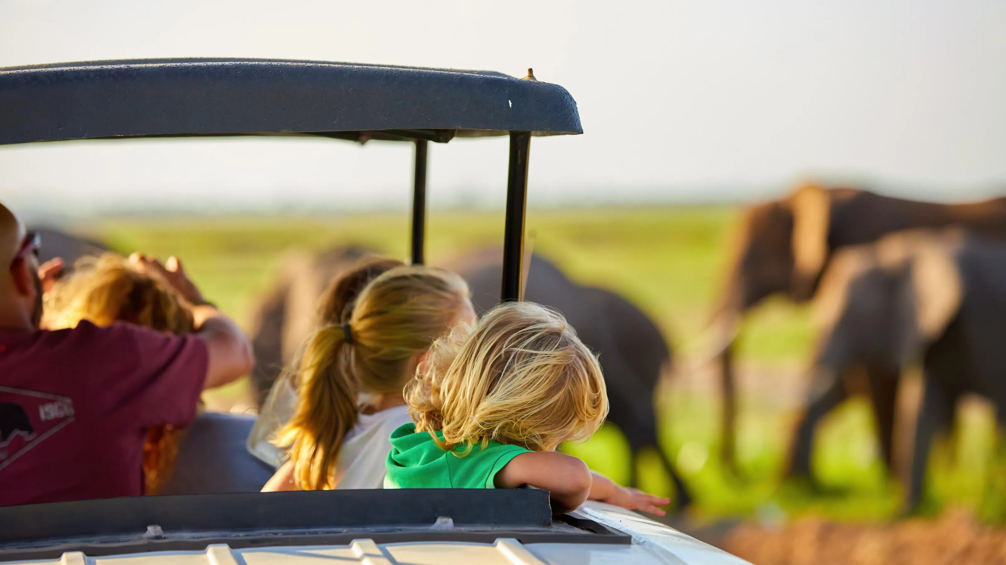 Children watching elephants from the roof hatch of a safari vehicle