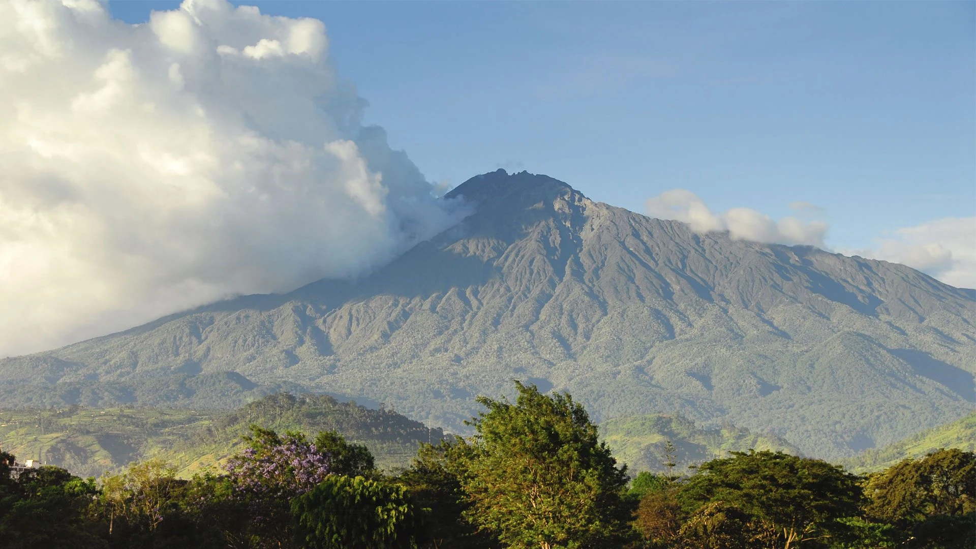Mount Meru rising above green forest with cloud