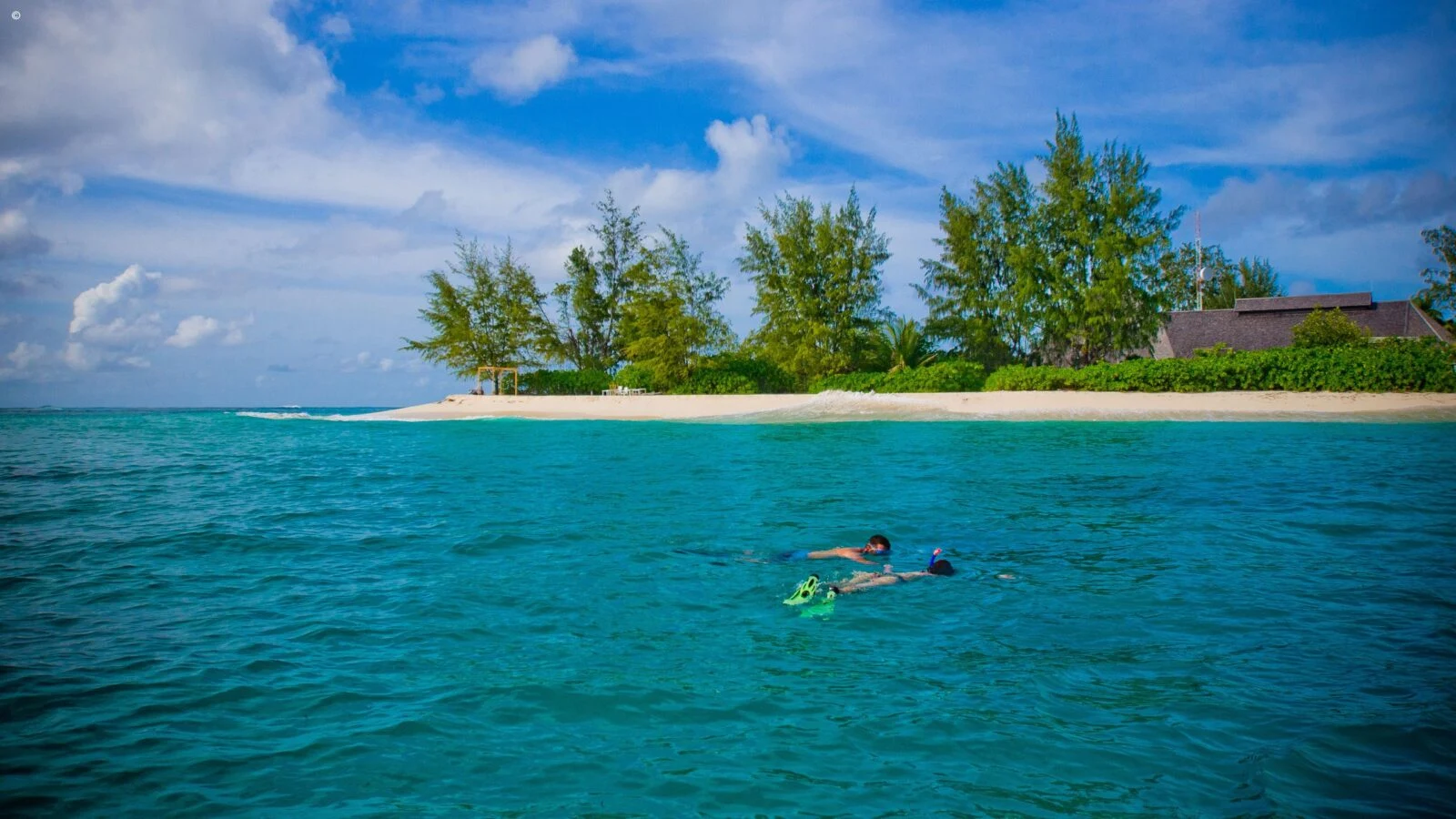 A snorkeller floating in turquoise water off a small wooded island