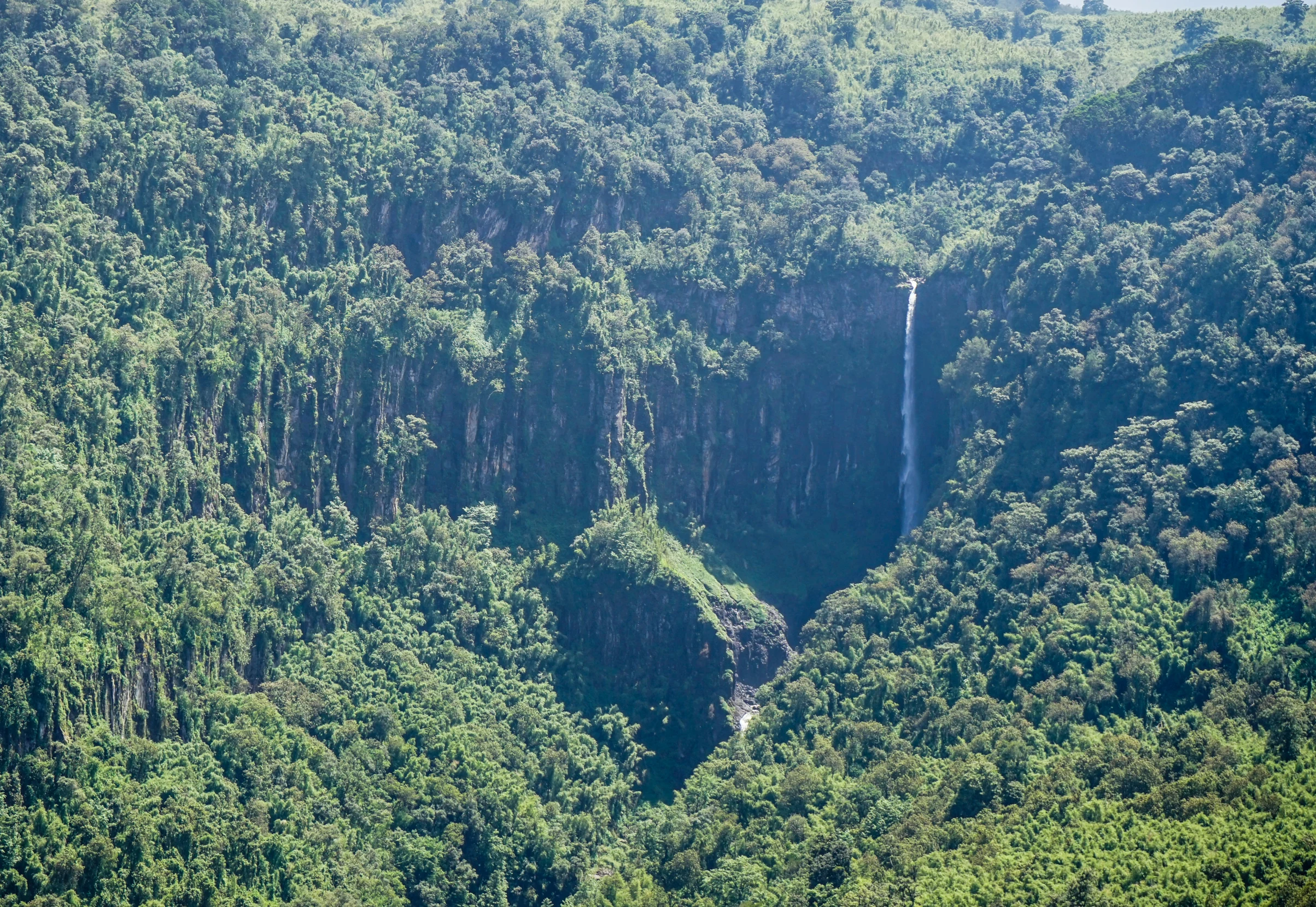 Gura Falls dropping into forest in the Aberdares