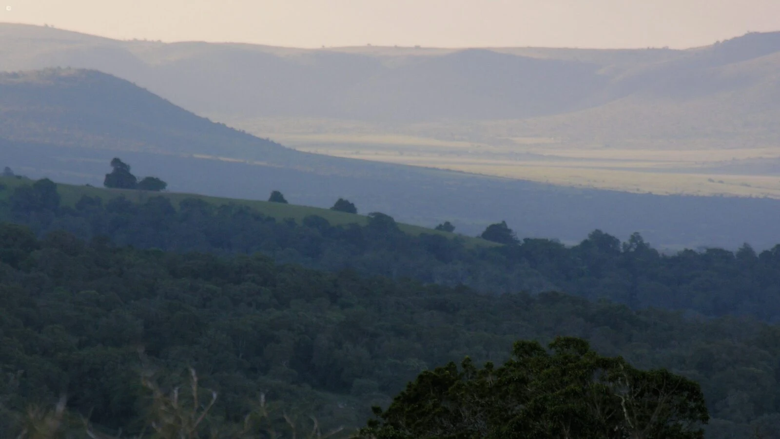 Hazy layers of forested hills
