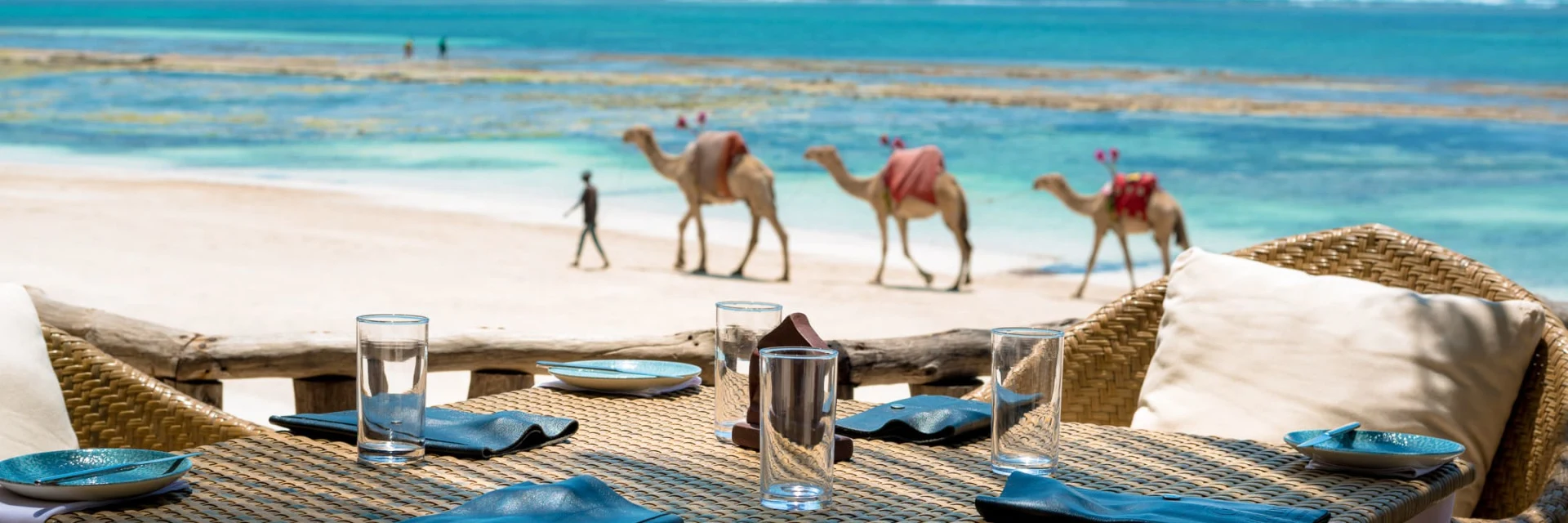 Camels walking along a white beach beyond a beachside table