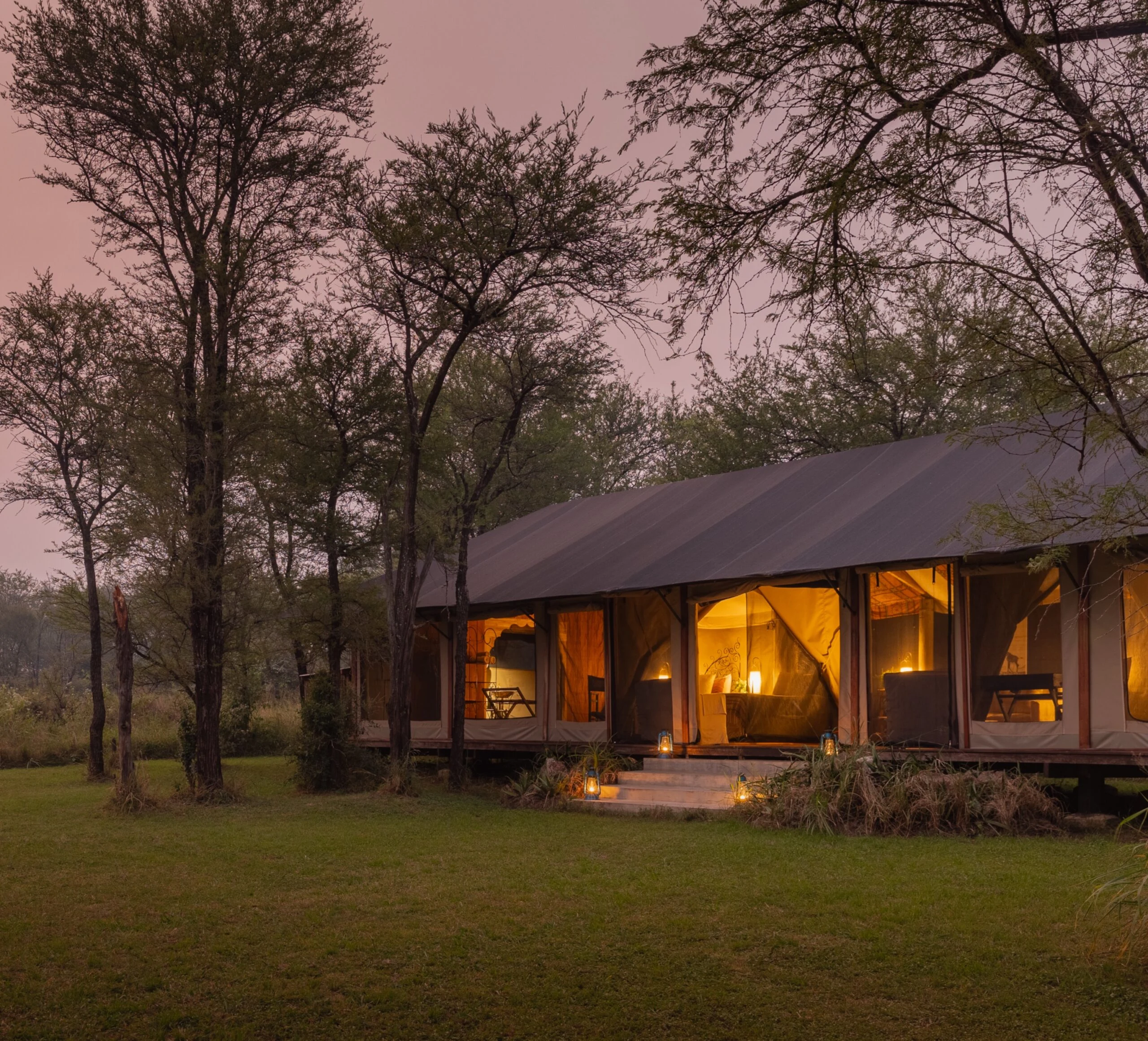Canvas lodge among trees at dusk at Lamai Serengeti