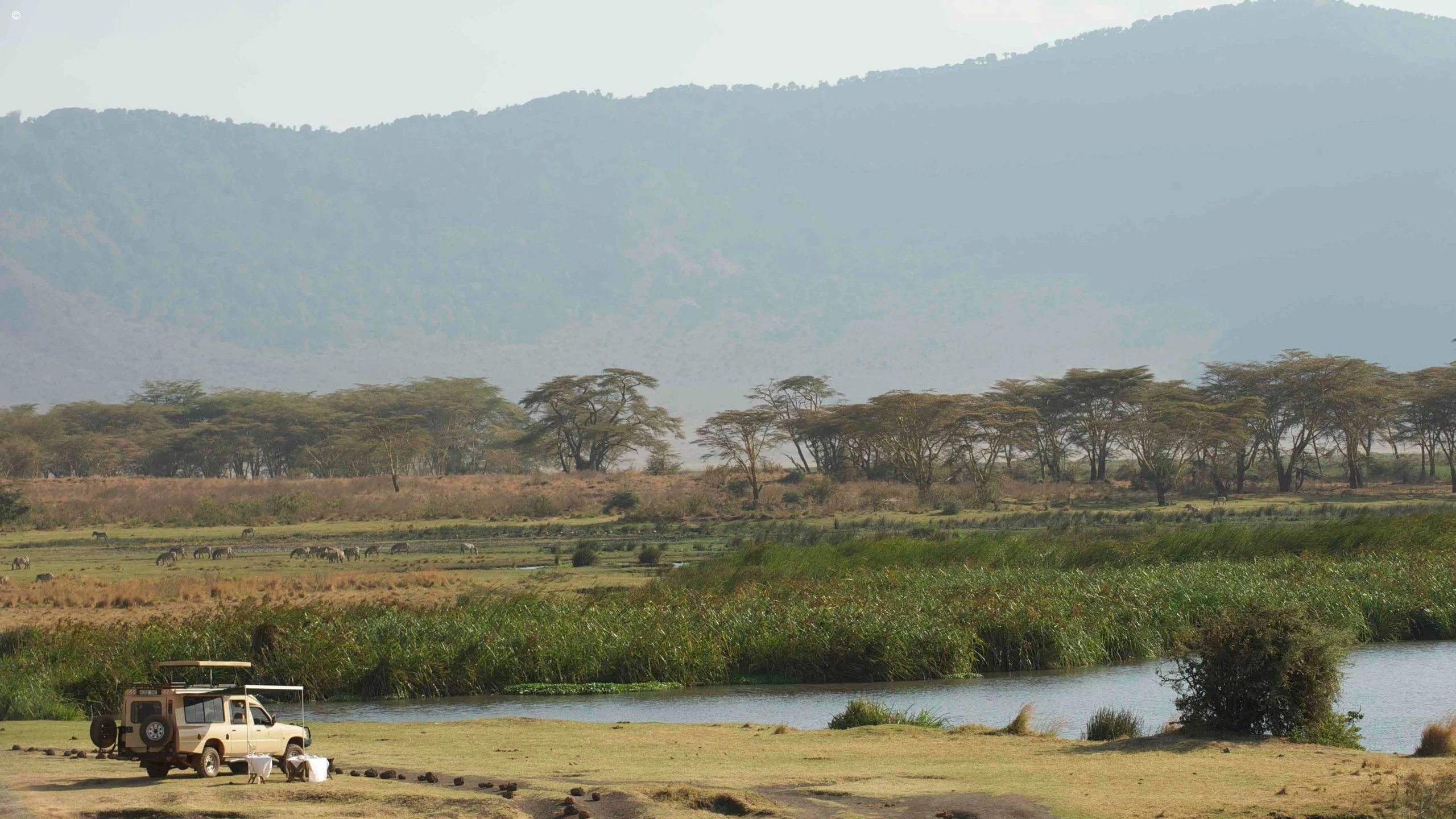 Safari vehicle parked beside a grassy wetland on the Ngorongoro Crater floor