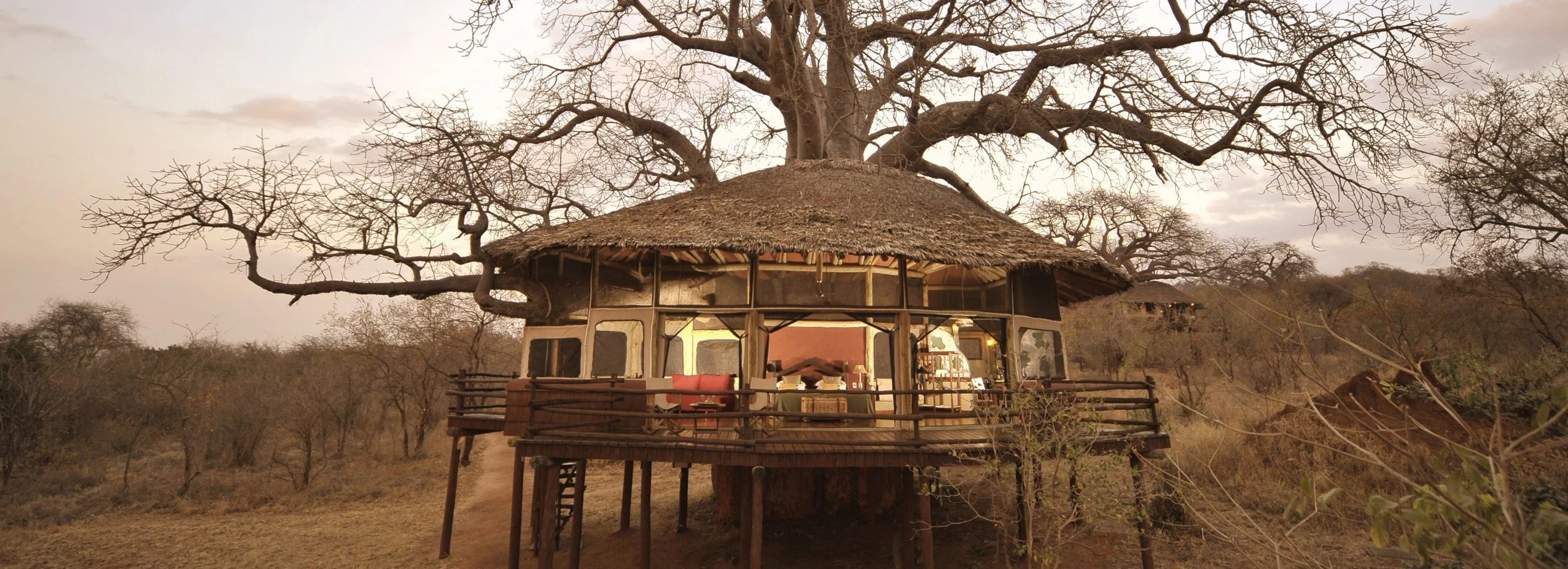 Raised thatched tree shelter at Tarangire Treetops