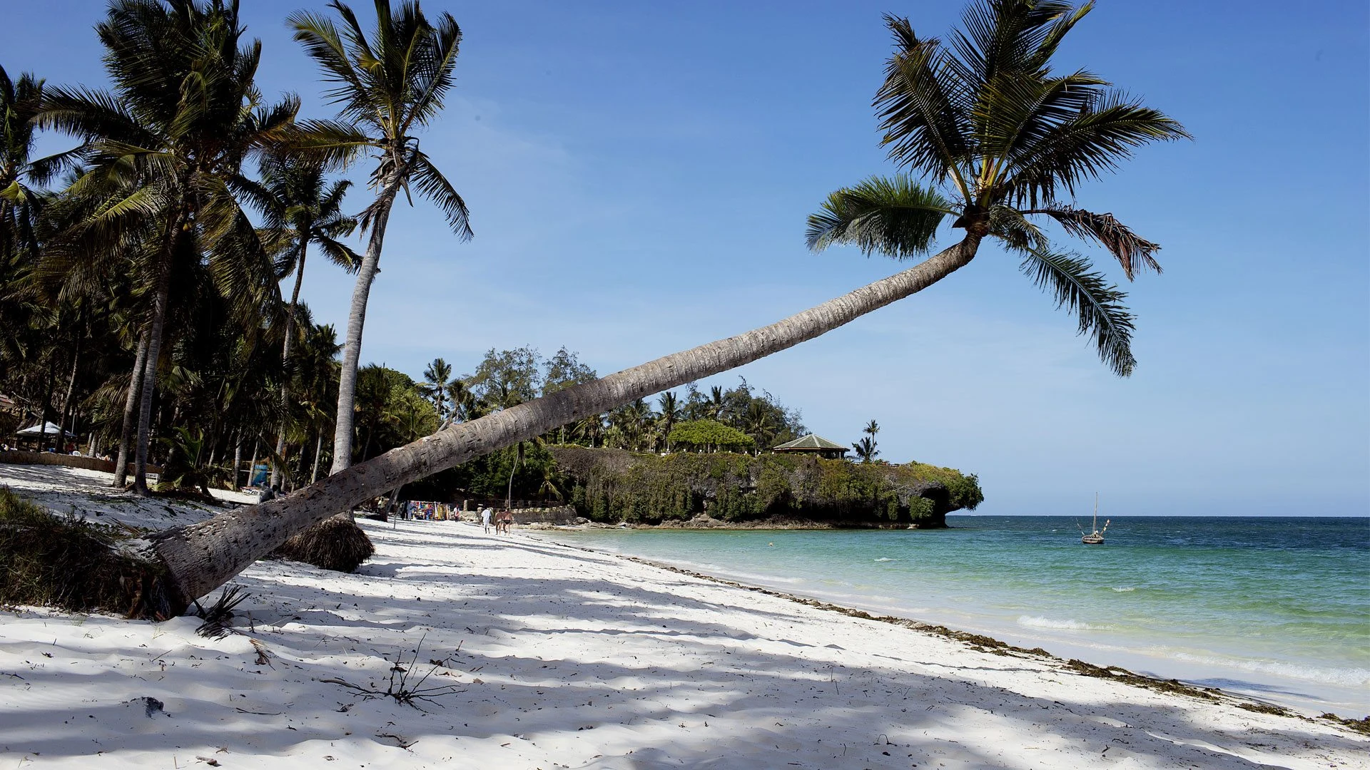 Palm leaning over white sand beach and turquoise sea