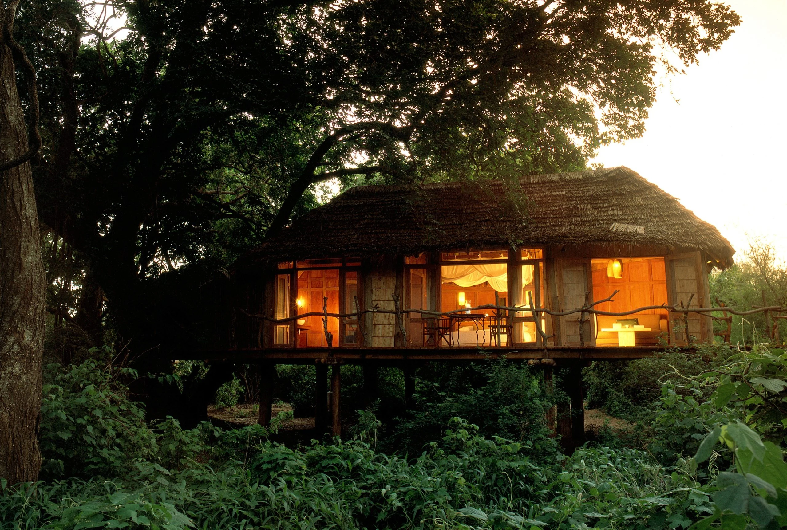Treehouse suite on stilts lit up among mahogany trees at Lake Manyara Tree Lodge