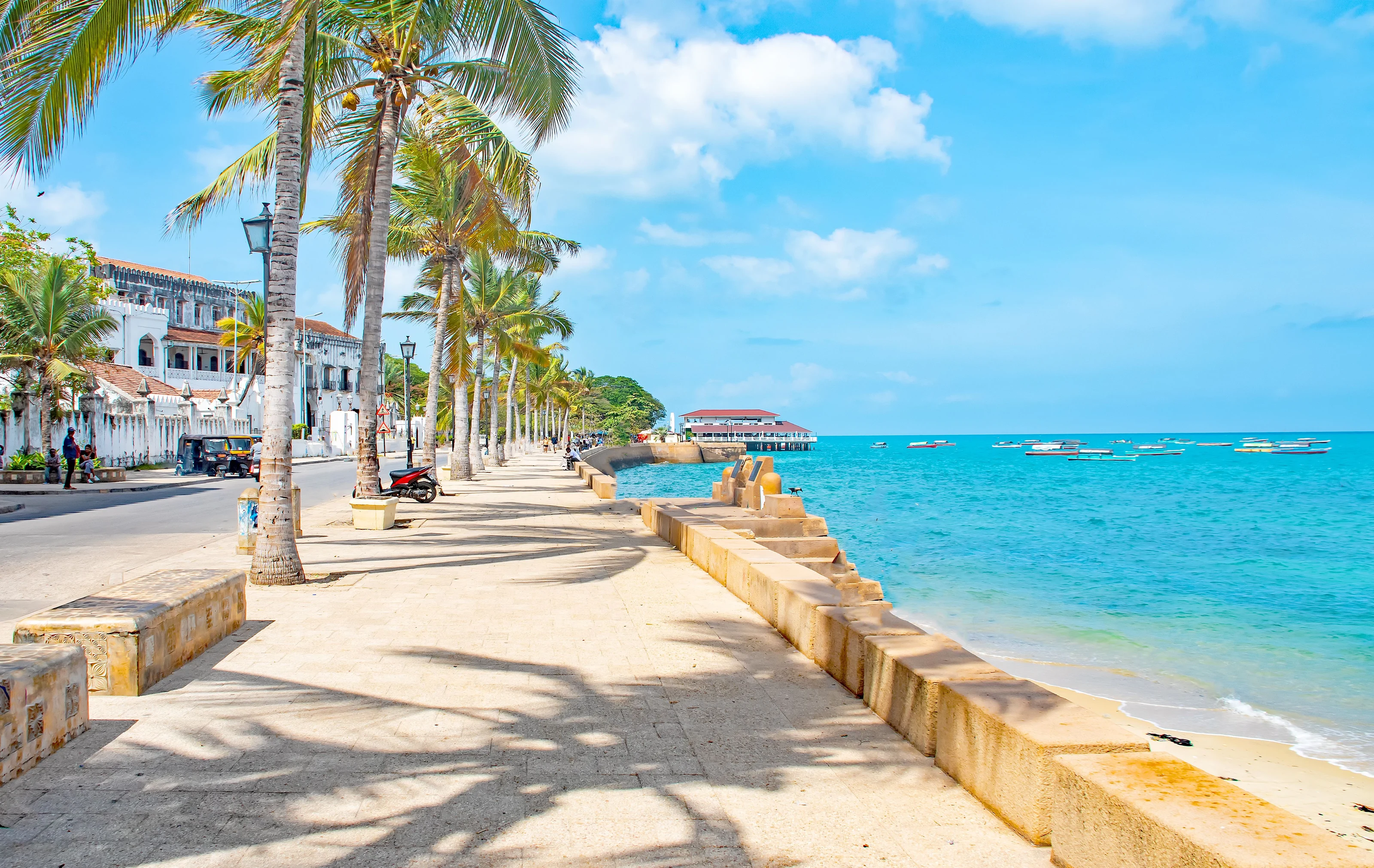 Palm-shaded stone promenade beside turquoise water in Stone Town