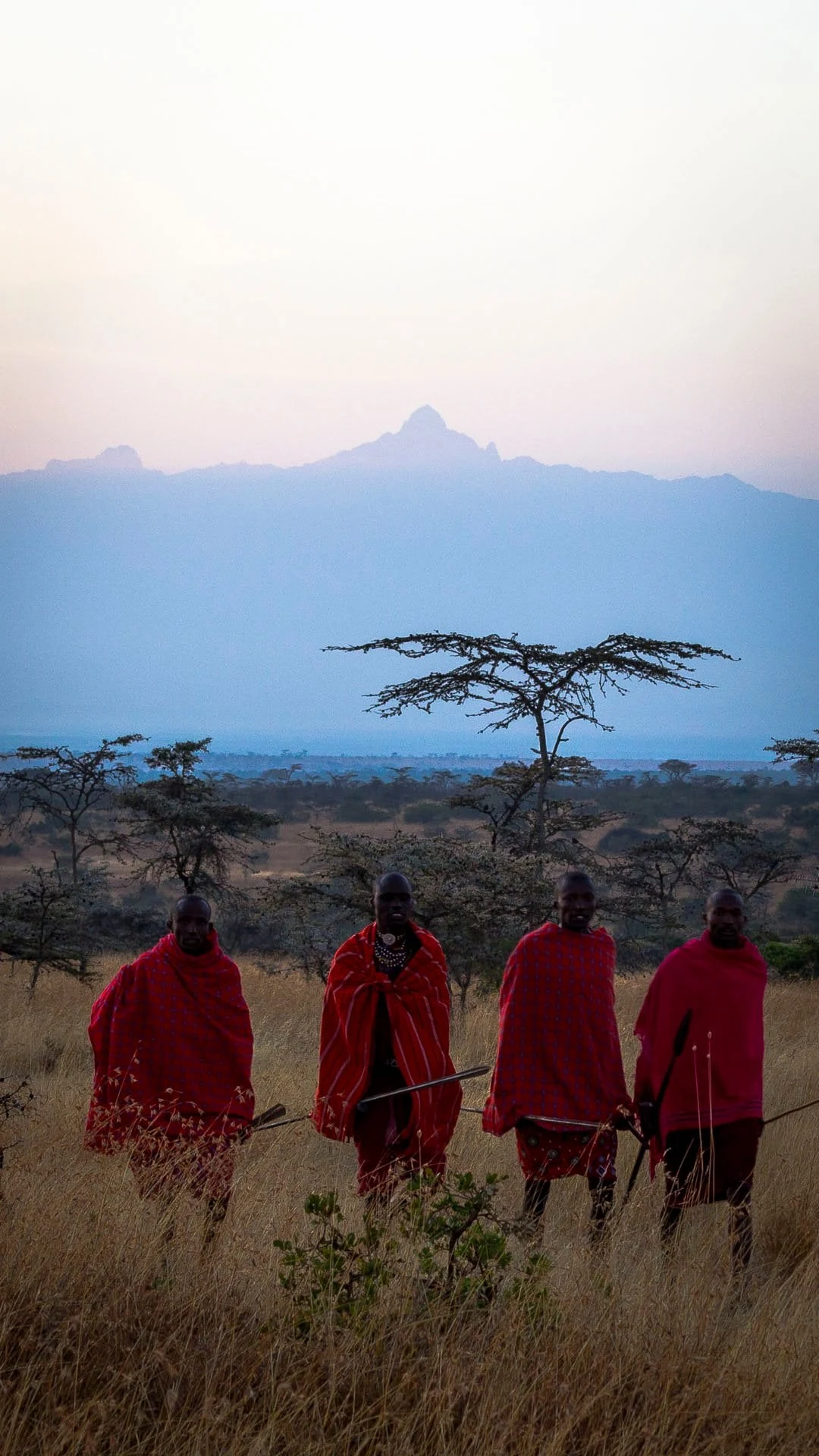 Four Maasai men in red walking toward camera with distant peak, portrait