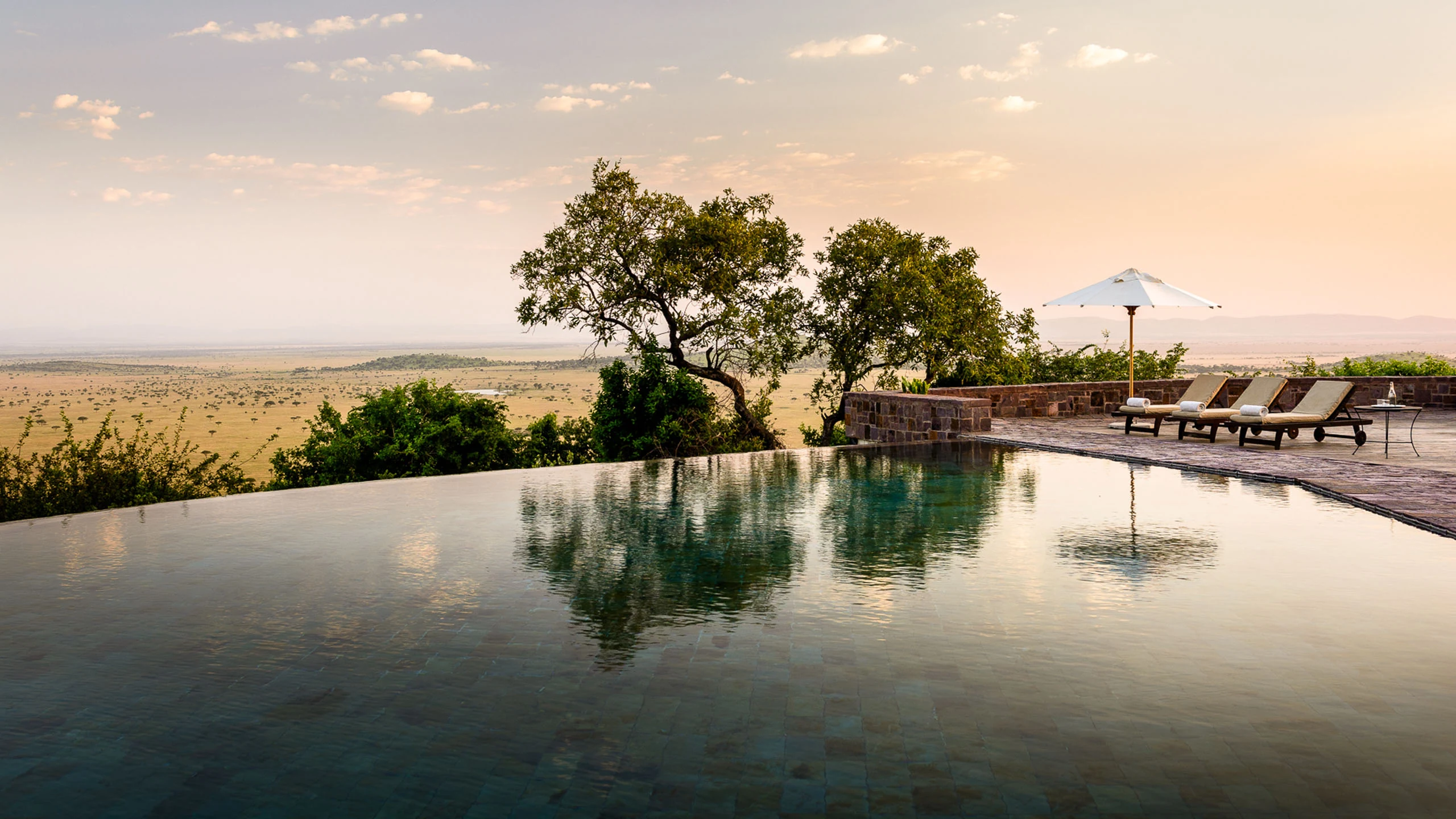 Infinity pool over the savanna at sunset with loungers