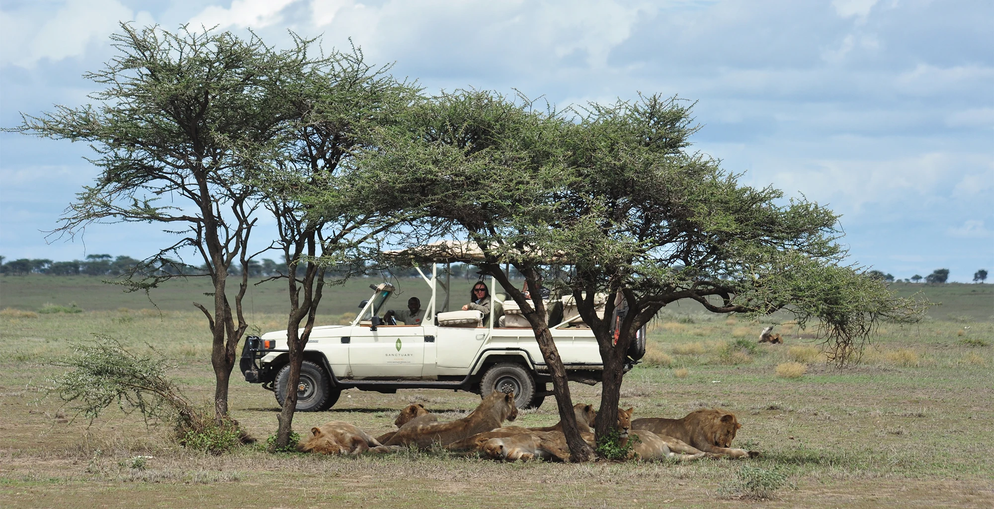 Lions resting beside a safari vehicle near Kusini camp in the Serengeti
