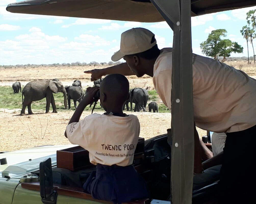 Guests with binoculars watching elephants from a vehicle in Ruaha