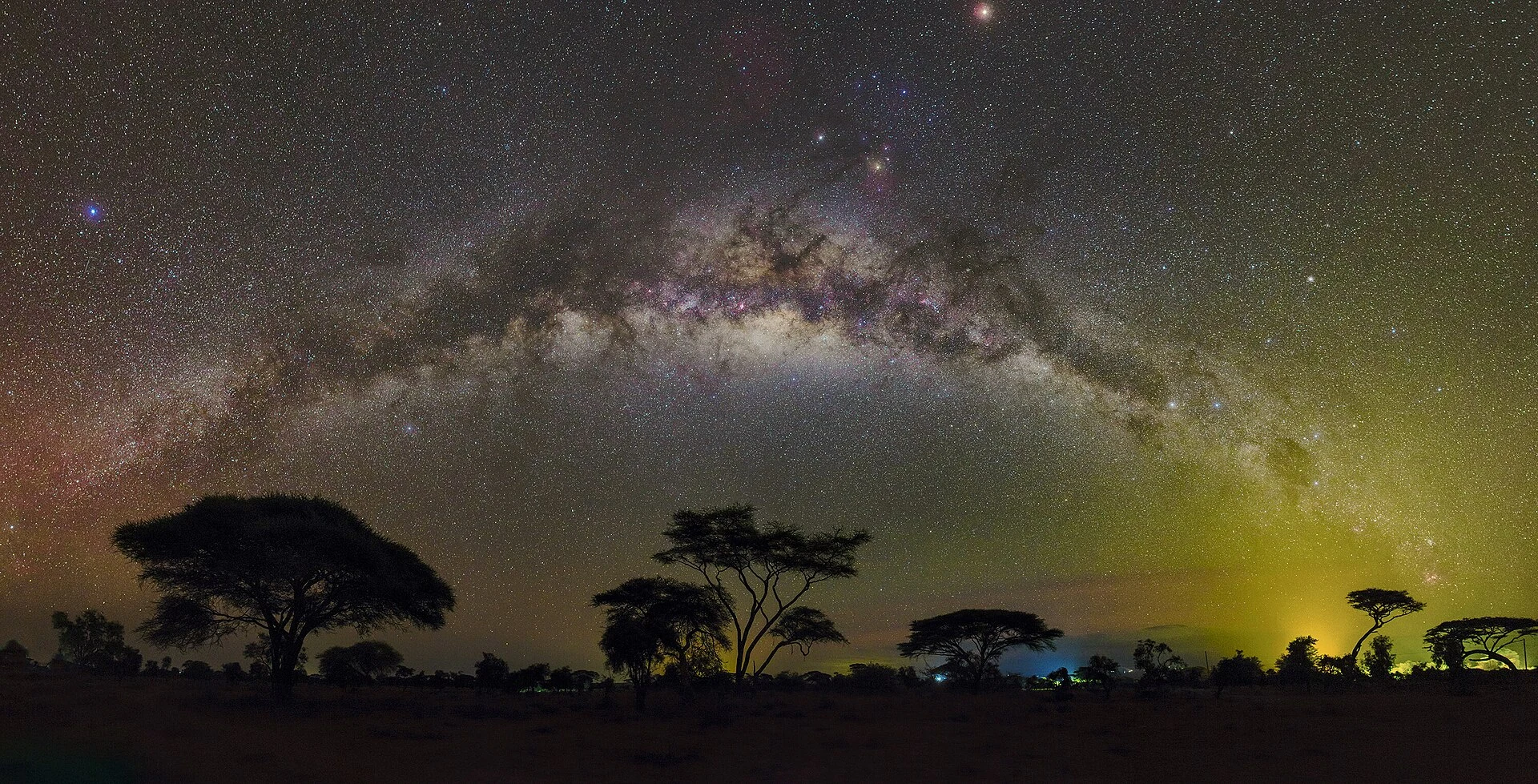 The Milky Way arching over acacia trees at night