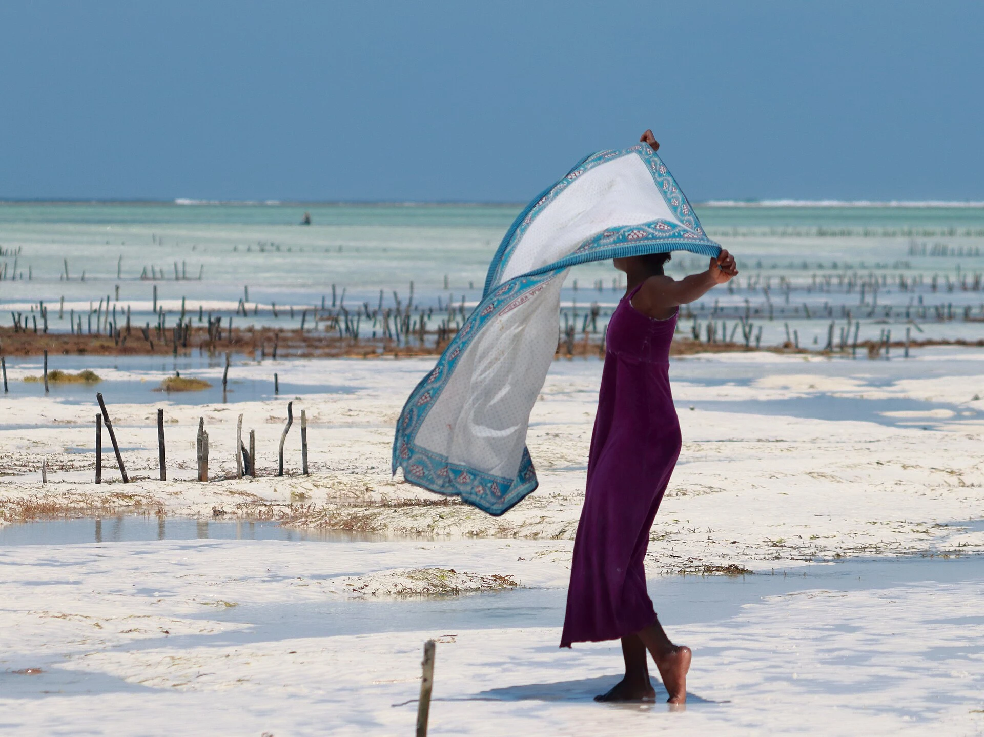 A girl snapping her kanga in the wind on the beach at Paje