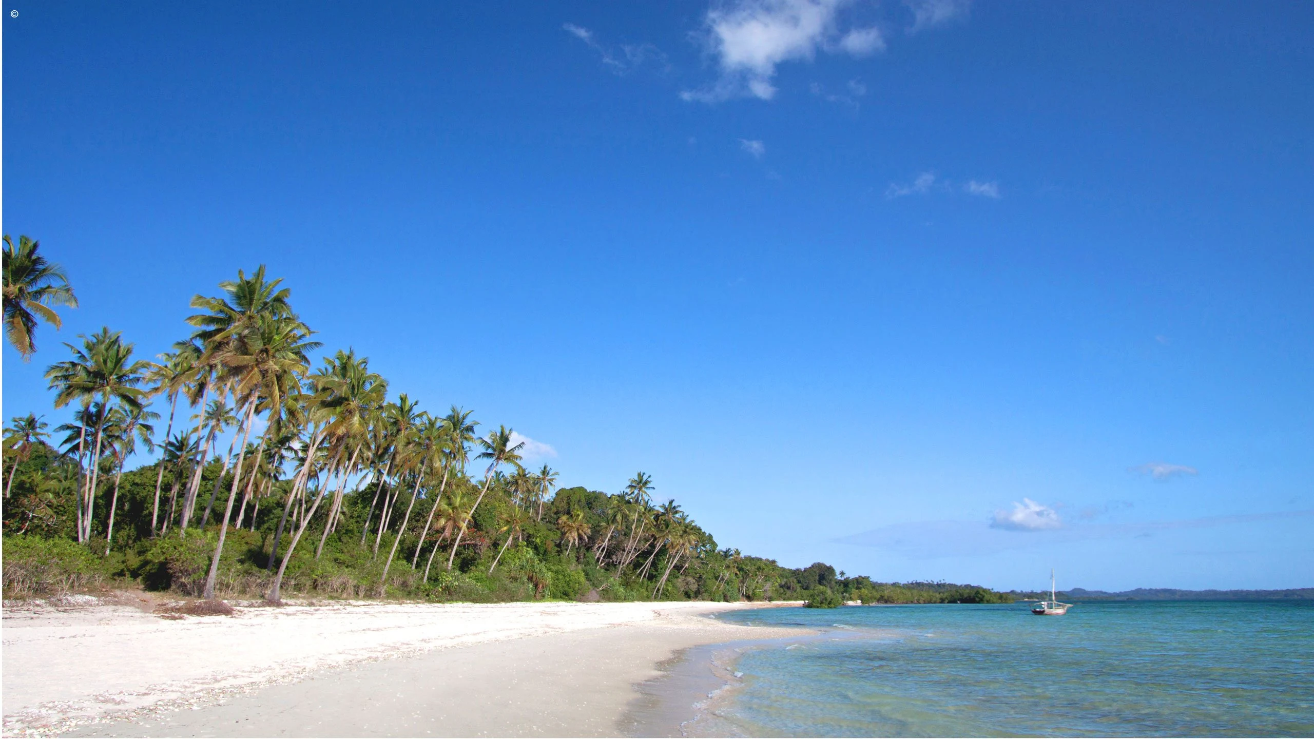 White sand beach edged with palms under deep blue sky