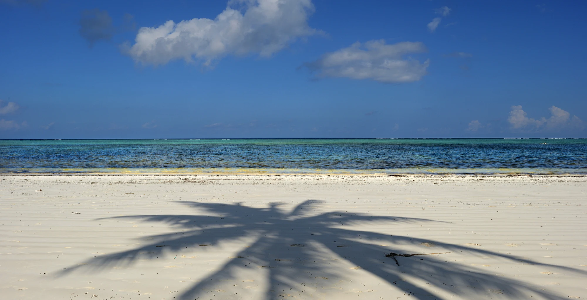 Palm tree shadow on white sand beside turquoise water