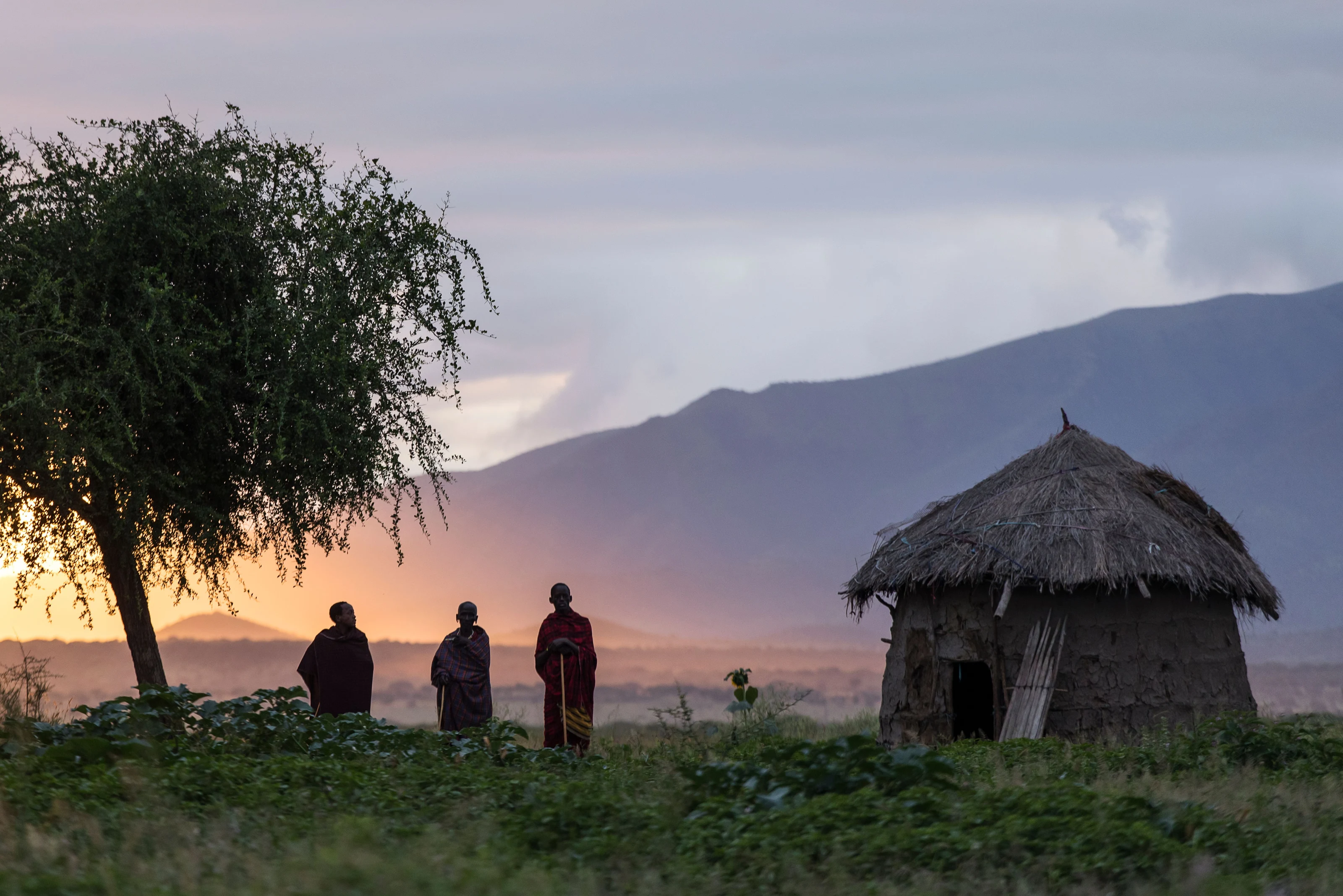 Maasai men standing beside a thatched hut at dusk near Arusha