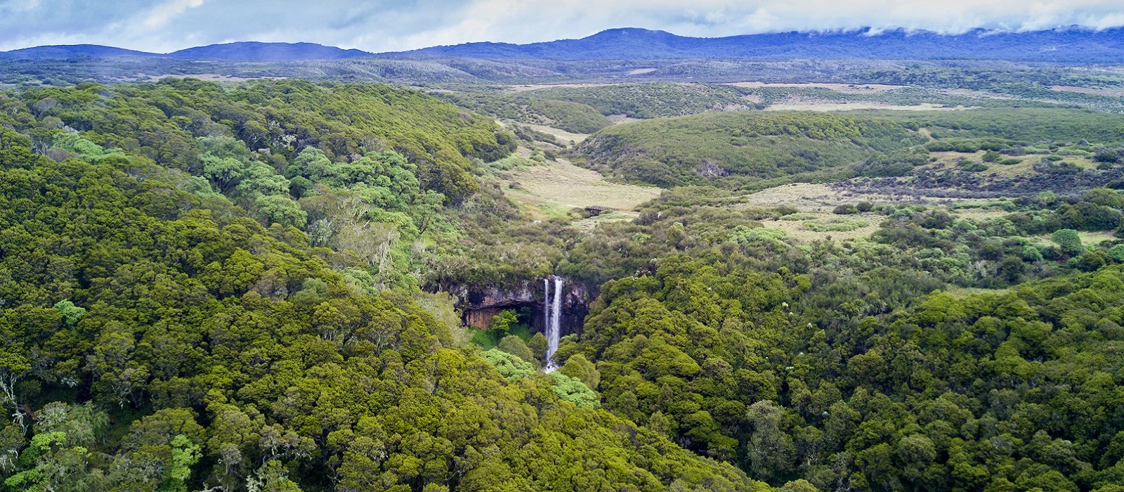 Waterfall dropping into a forested gorge in the Aberdare highlands