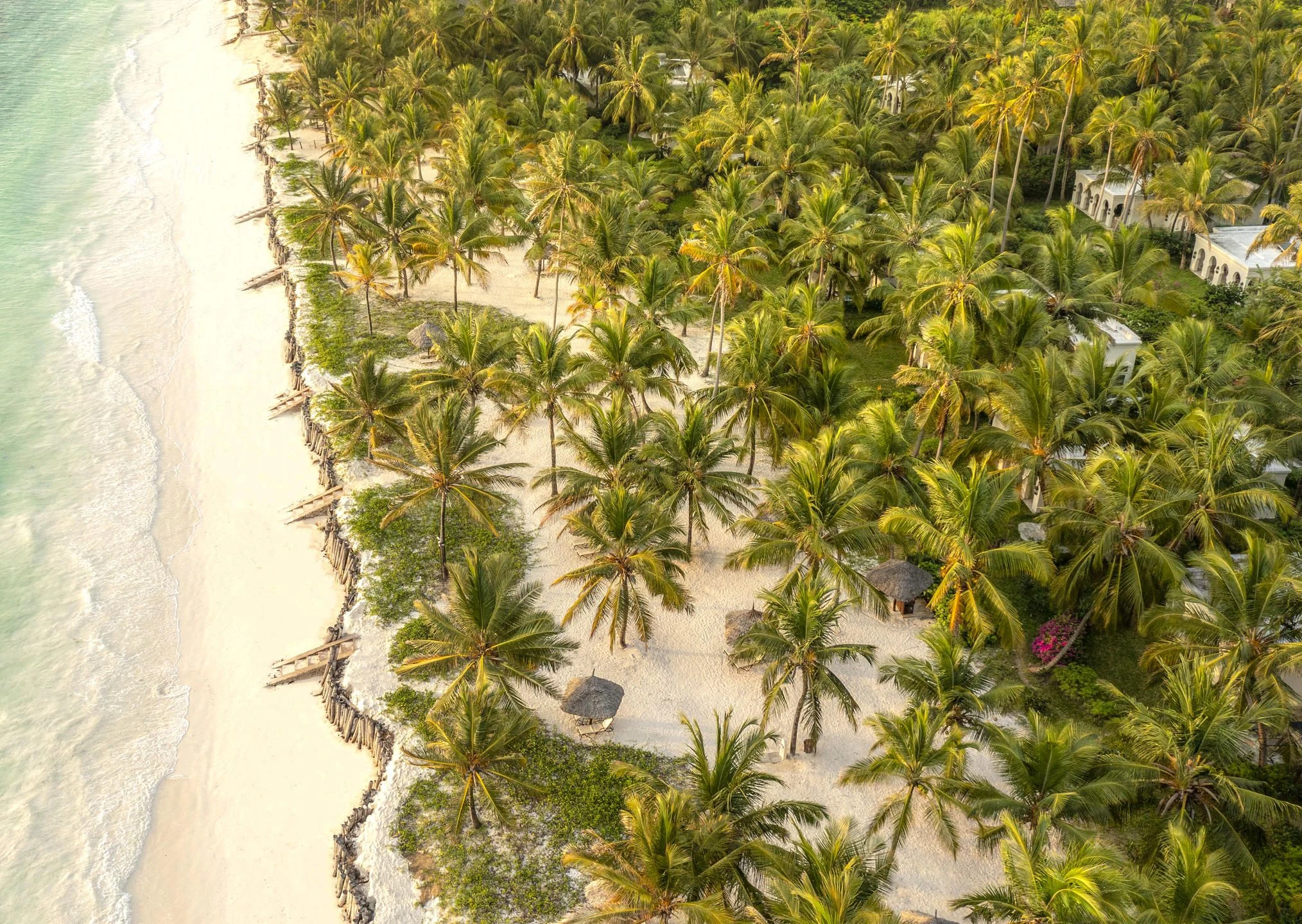 Aerial of palm-covered coast beside long white beach and shallow water