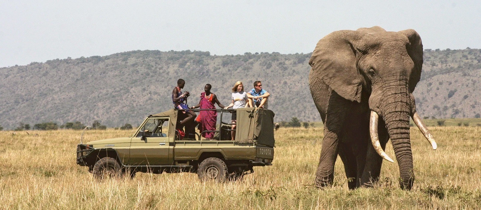 Guests in a safari vehicle beside an elephant in Meru National Park