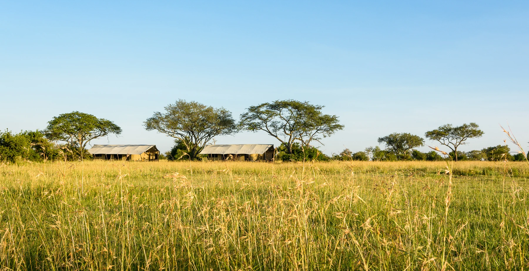 Canvas tents of Singita Explore mobile camp on open grassland