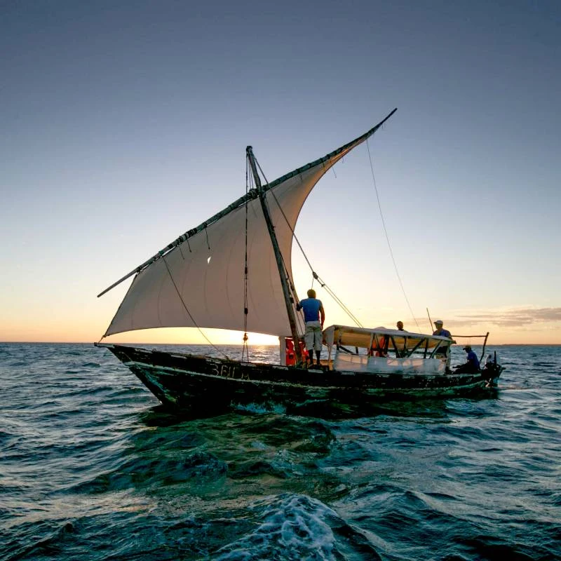 A dhow under sail on the open sea at dusk