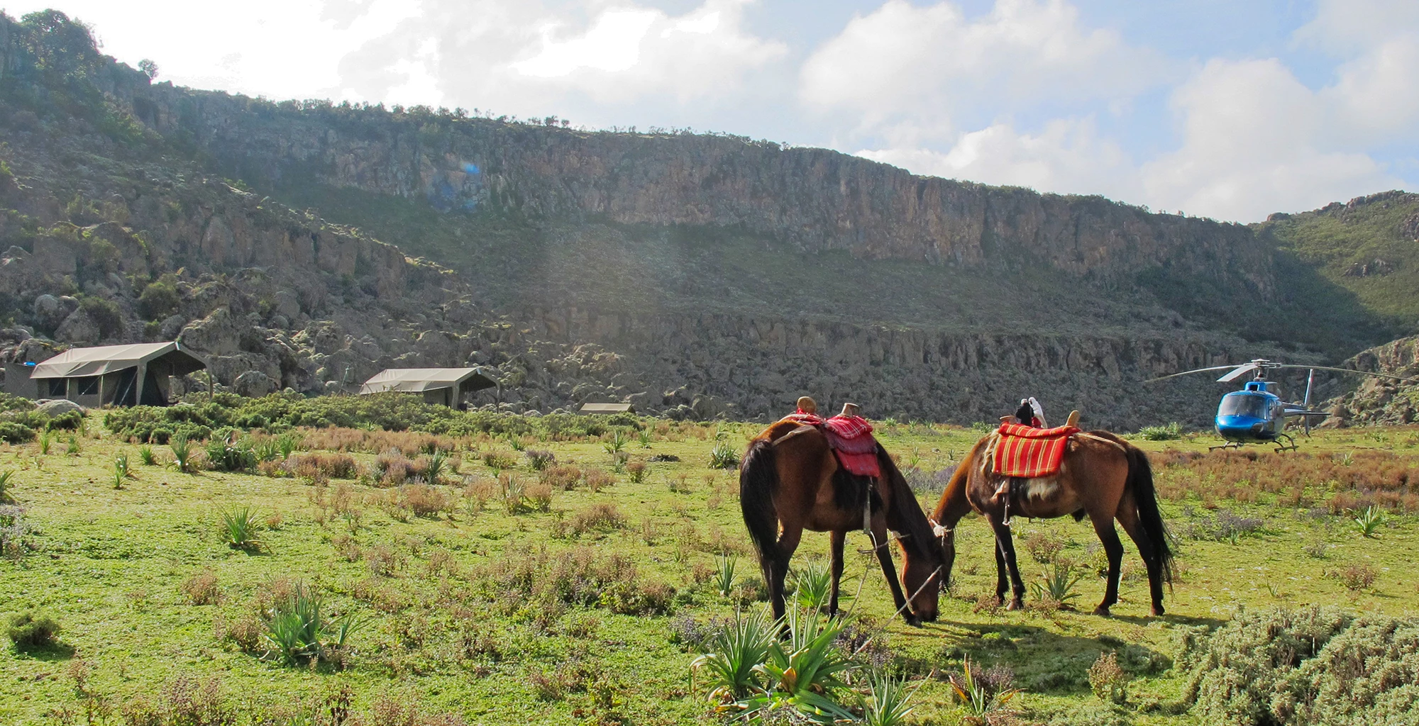 Two horses with colourful saddle cloths graze near a camp in the Bale Mountains.