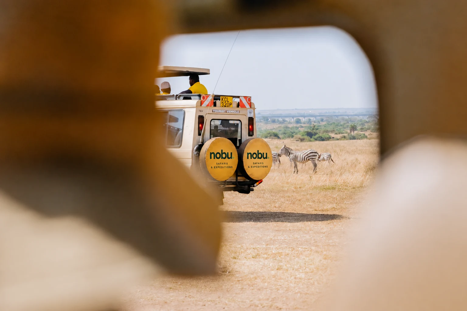 Nobu Safaris vehicle beside zebras on open grassland