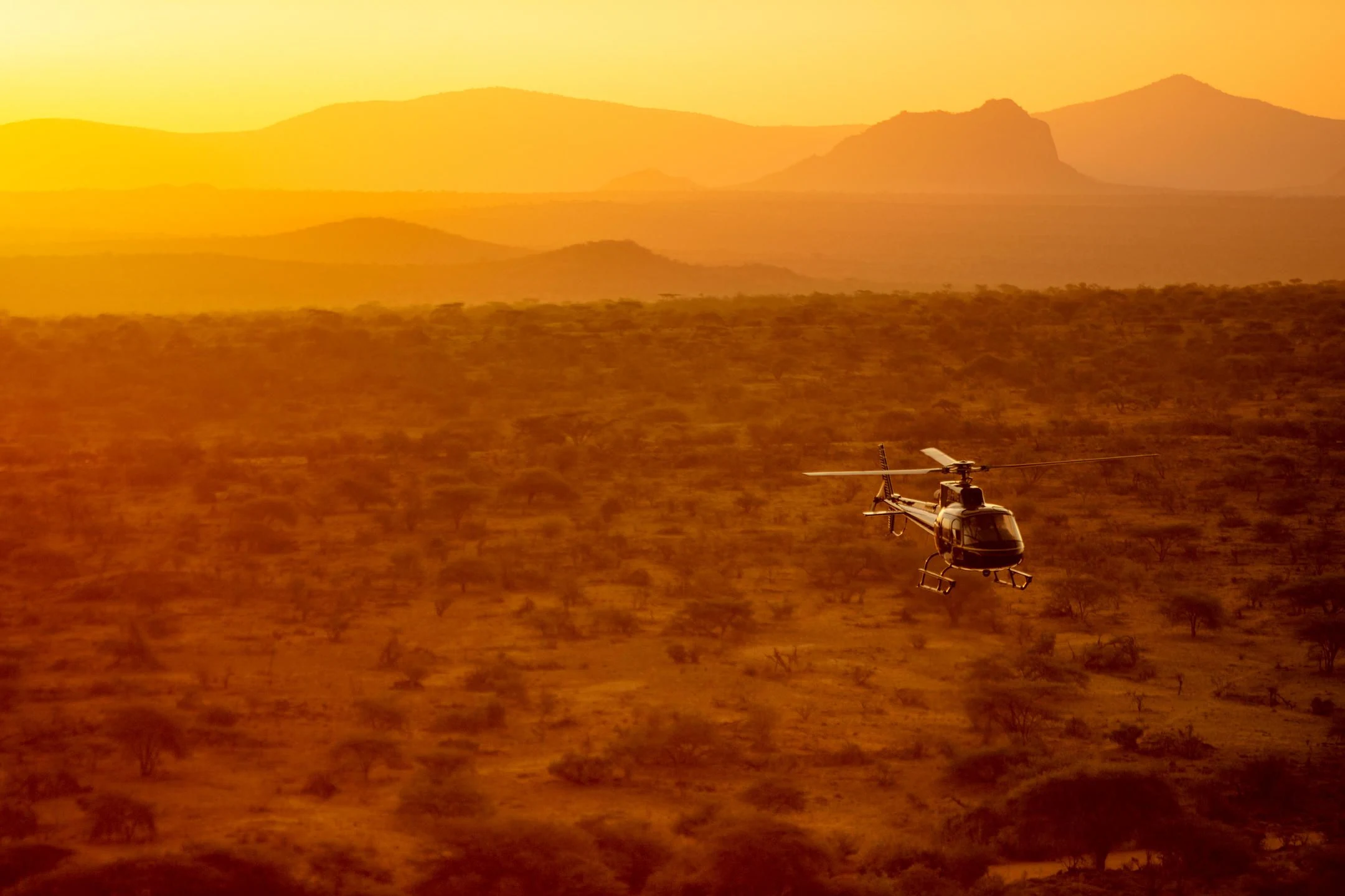 Helicopter flying low over orange savanna at sunset
