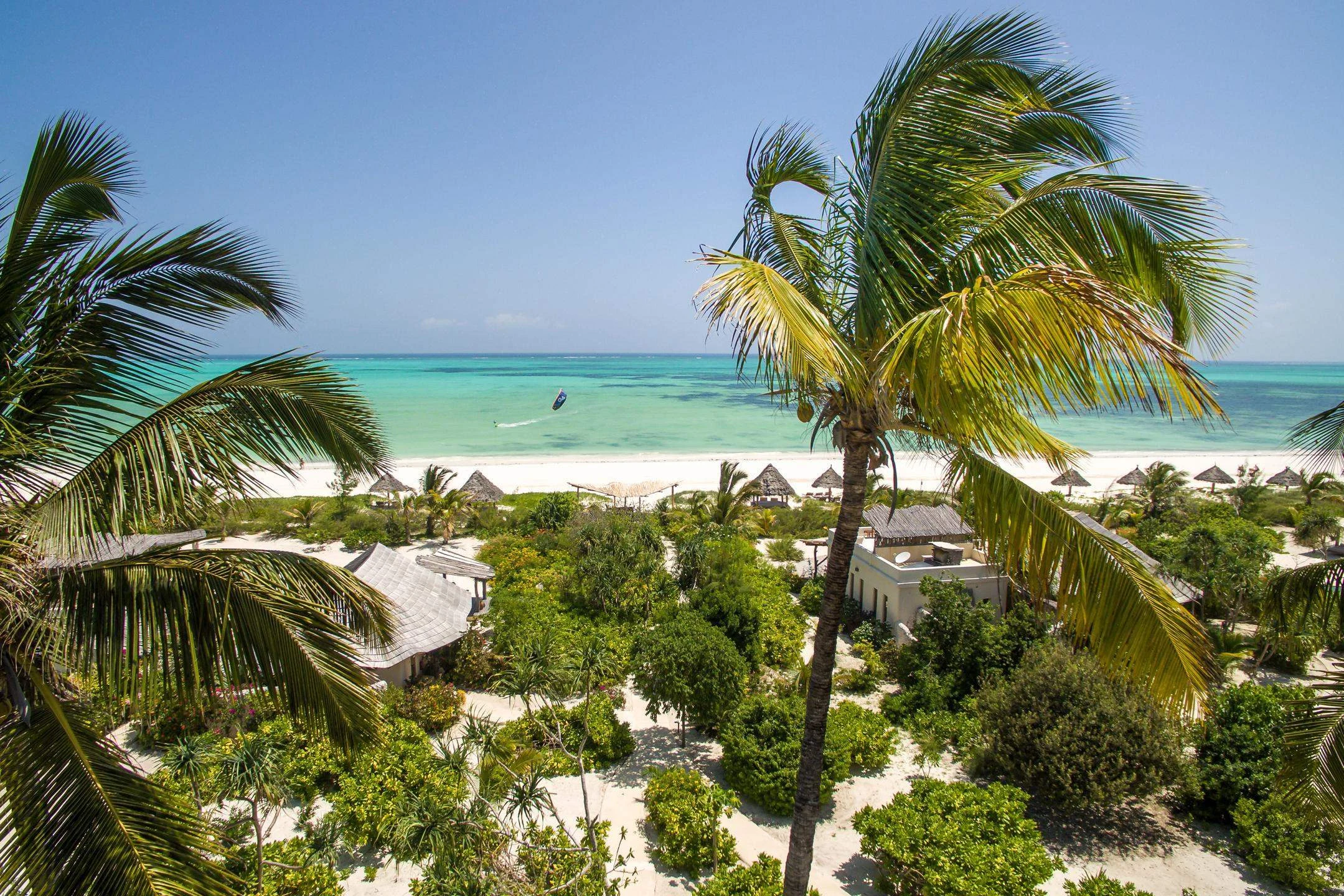 Elevated view over palms and beach bungalows to turquoise ocean