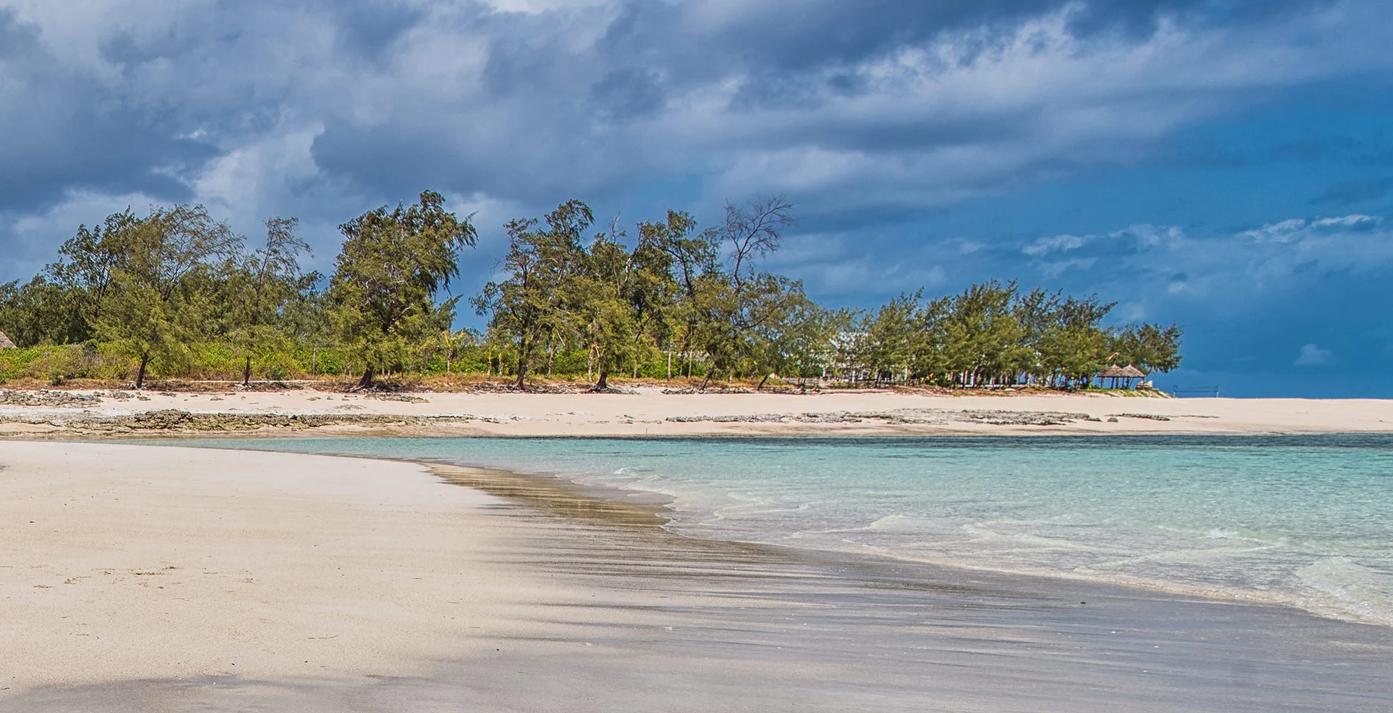 A wide sandy beach with low trees under a stormy sky